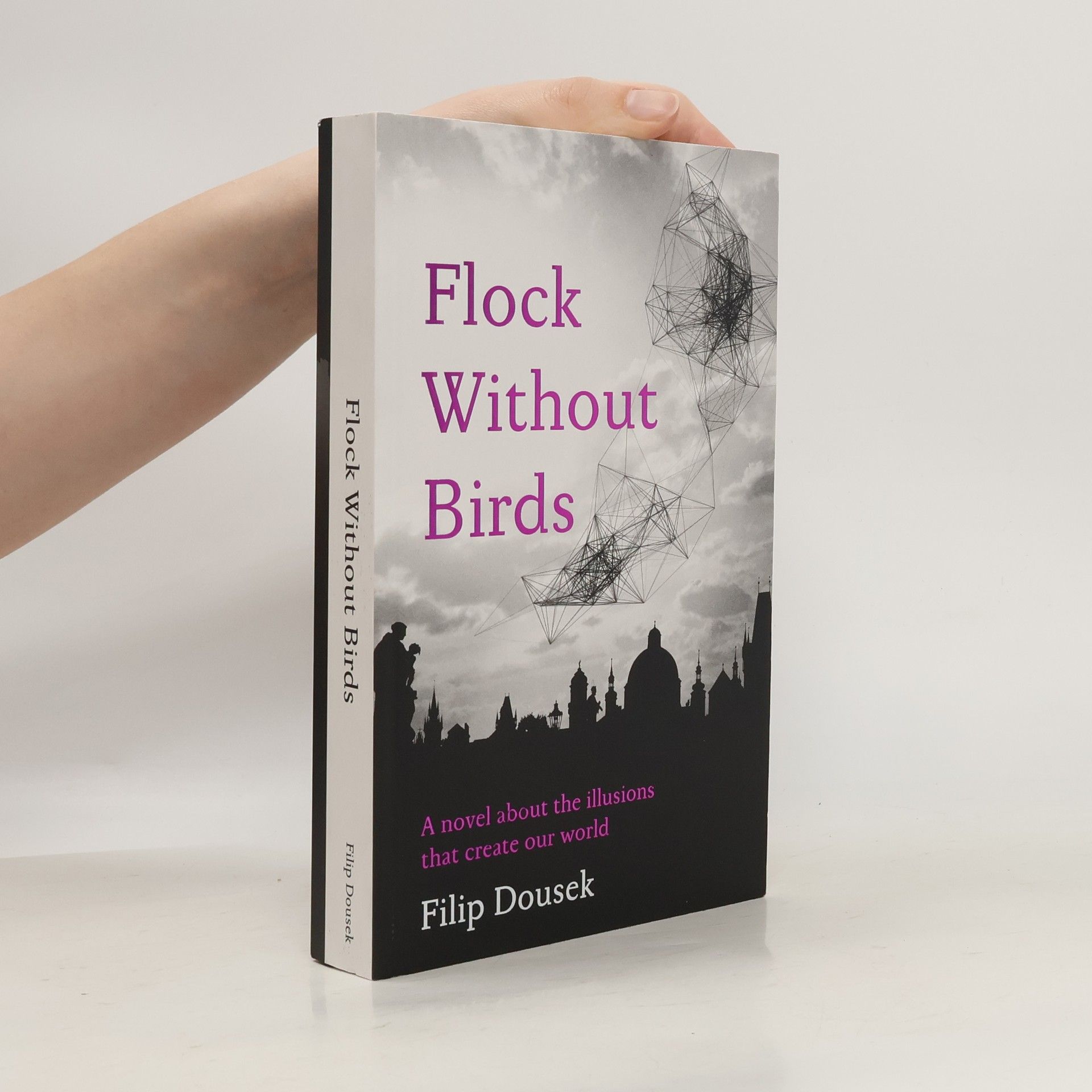 Filip Doušek Flock Without Birds