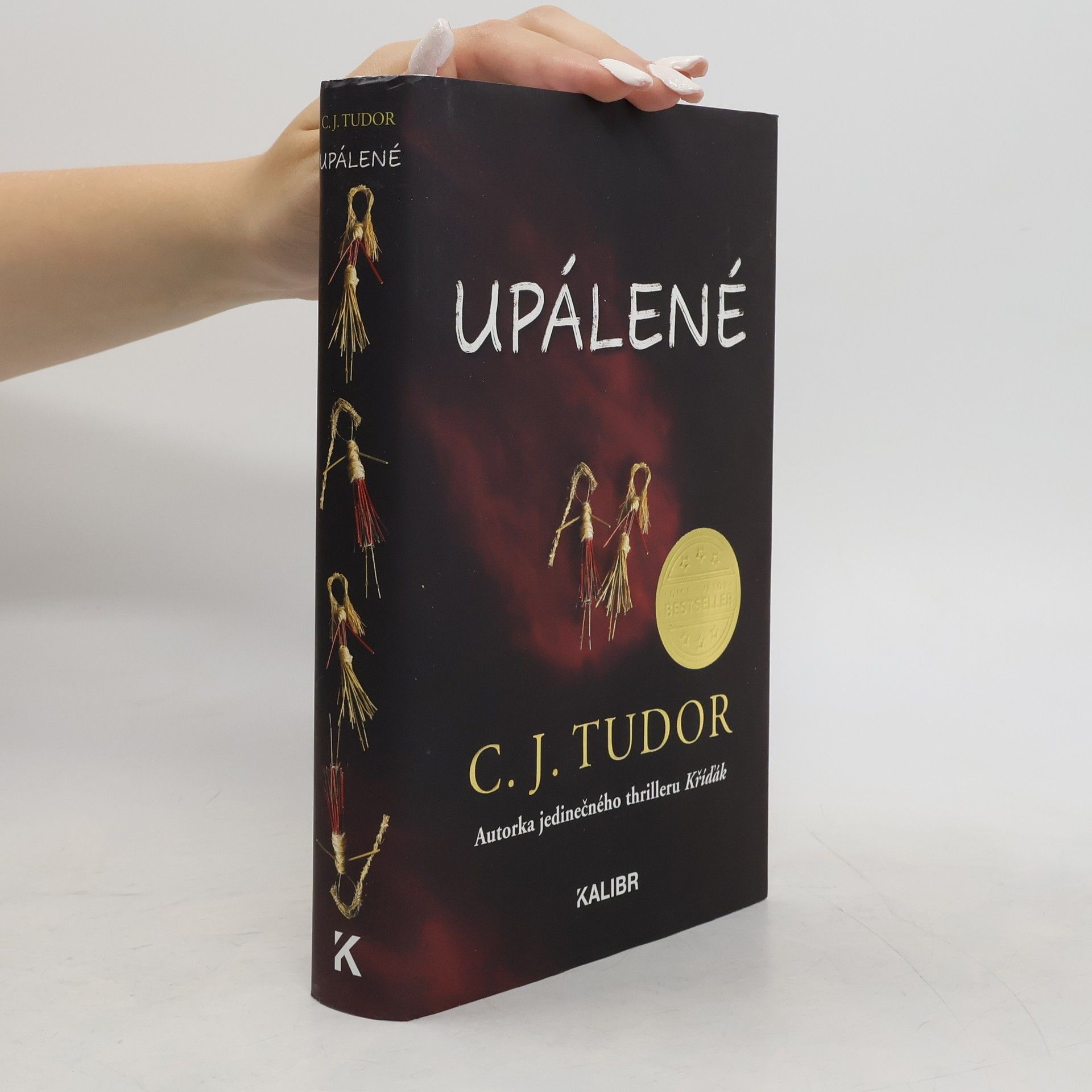 C. J. Tudor Upálené