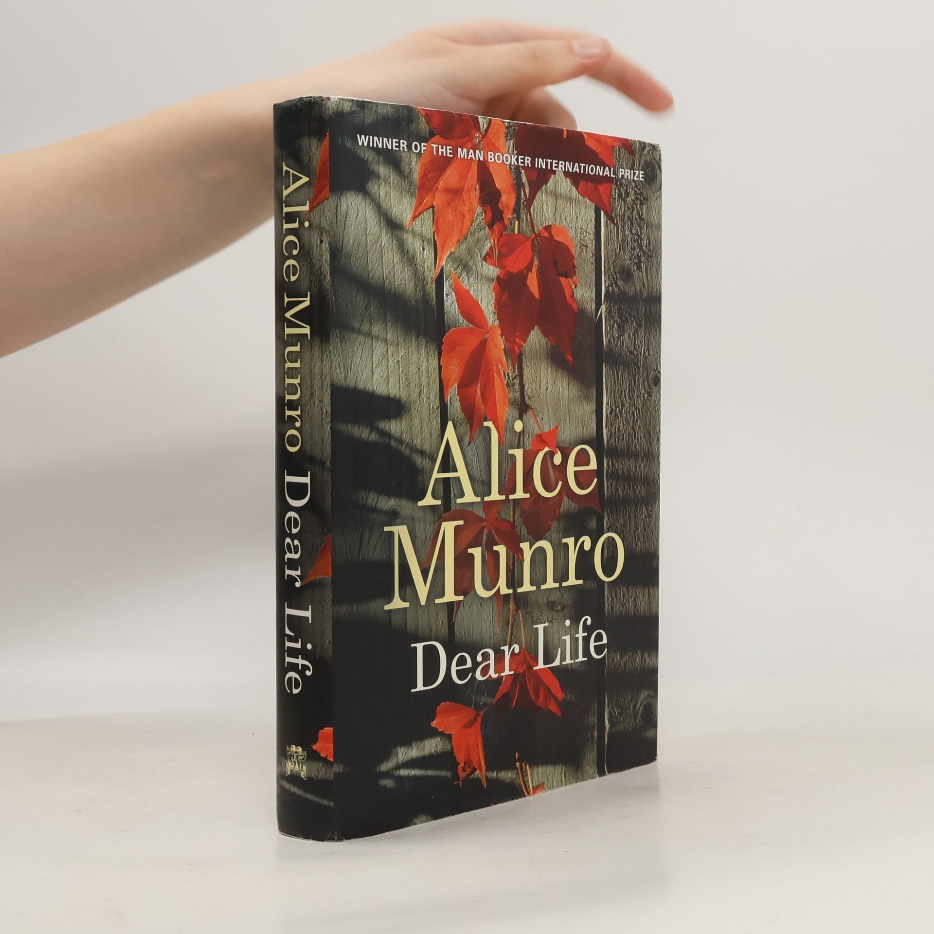 Alice Munro Dear Life