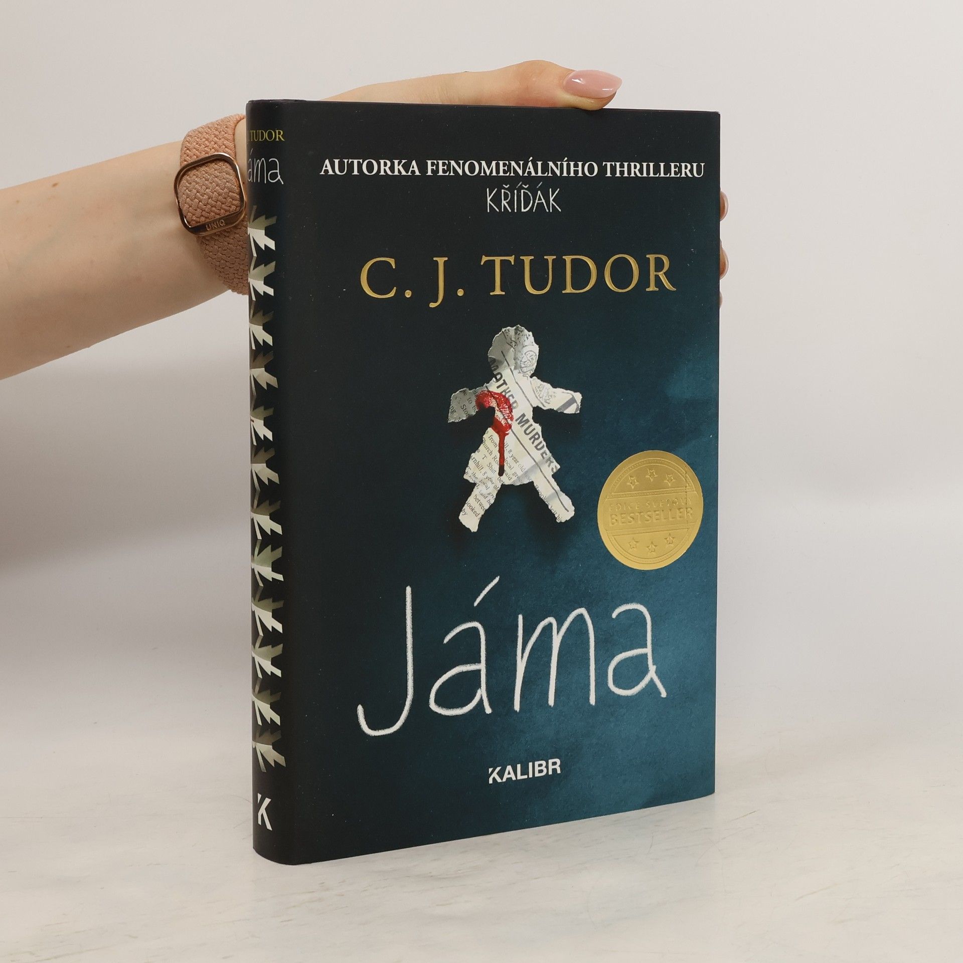 C. J. Tudor Jáma