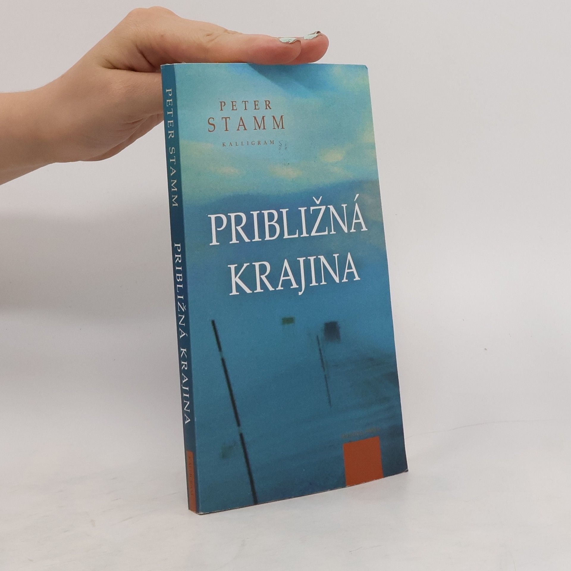 Peter Stamm Približná krajina