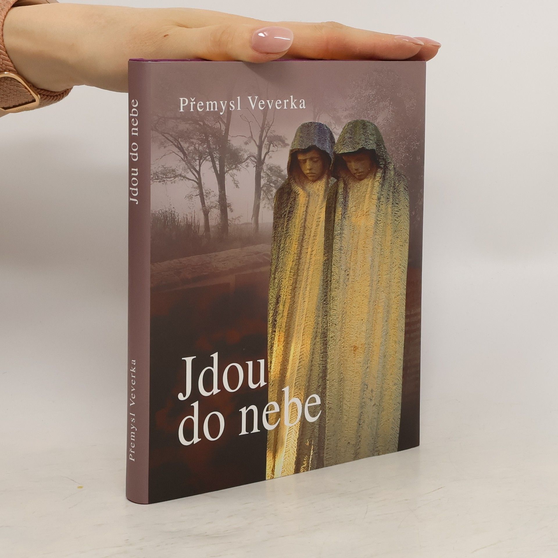 Přemysl Veverka Jdou do nebe