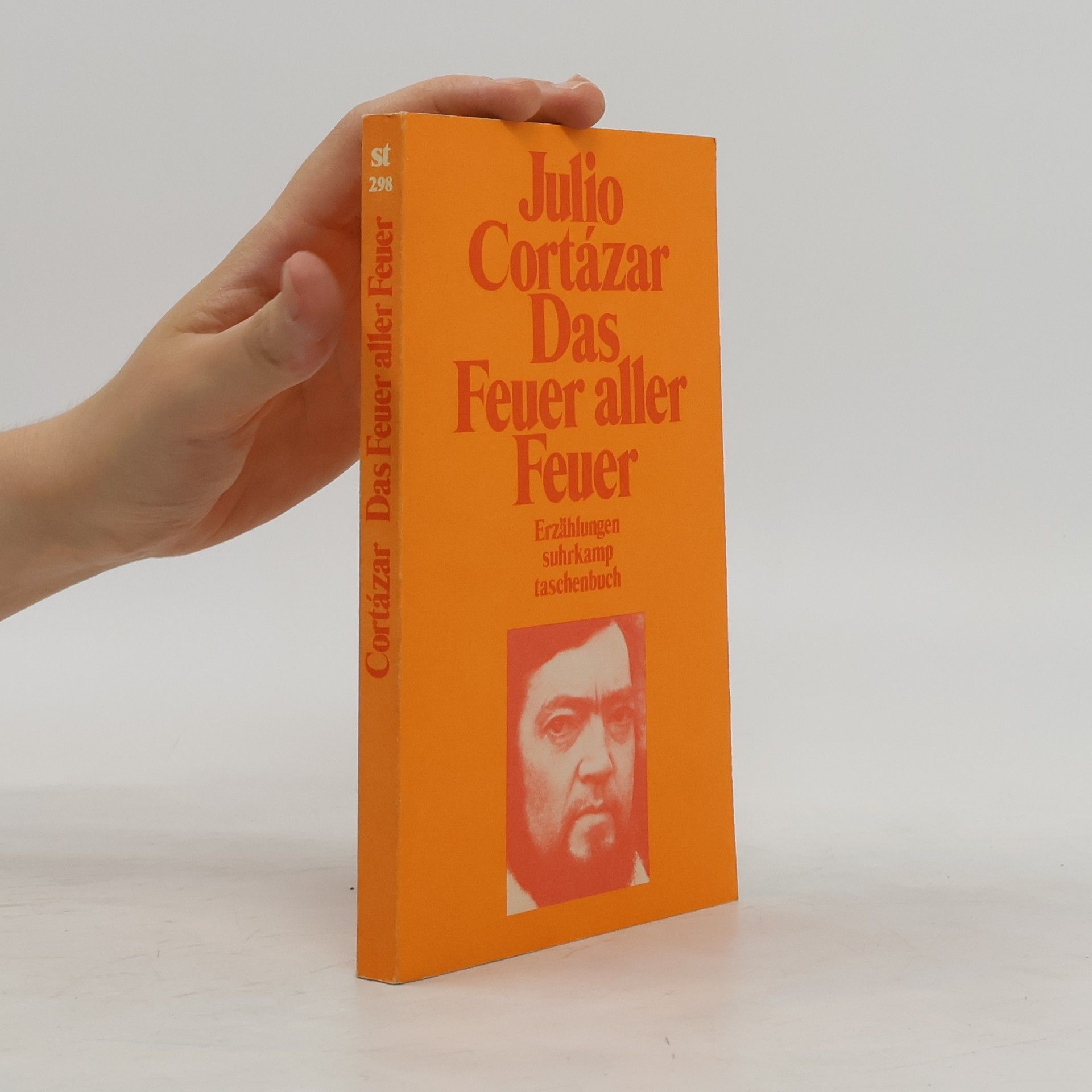 Julio Cortázar Das Feuer aller Feuer. Erzählungen