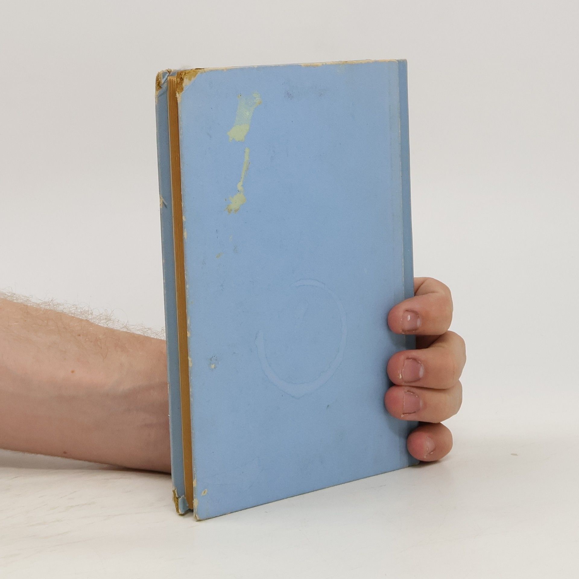 Martha Schnesweiss Mein Wäschebuch