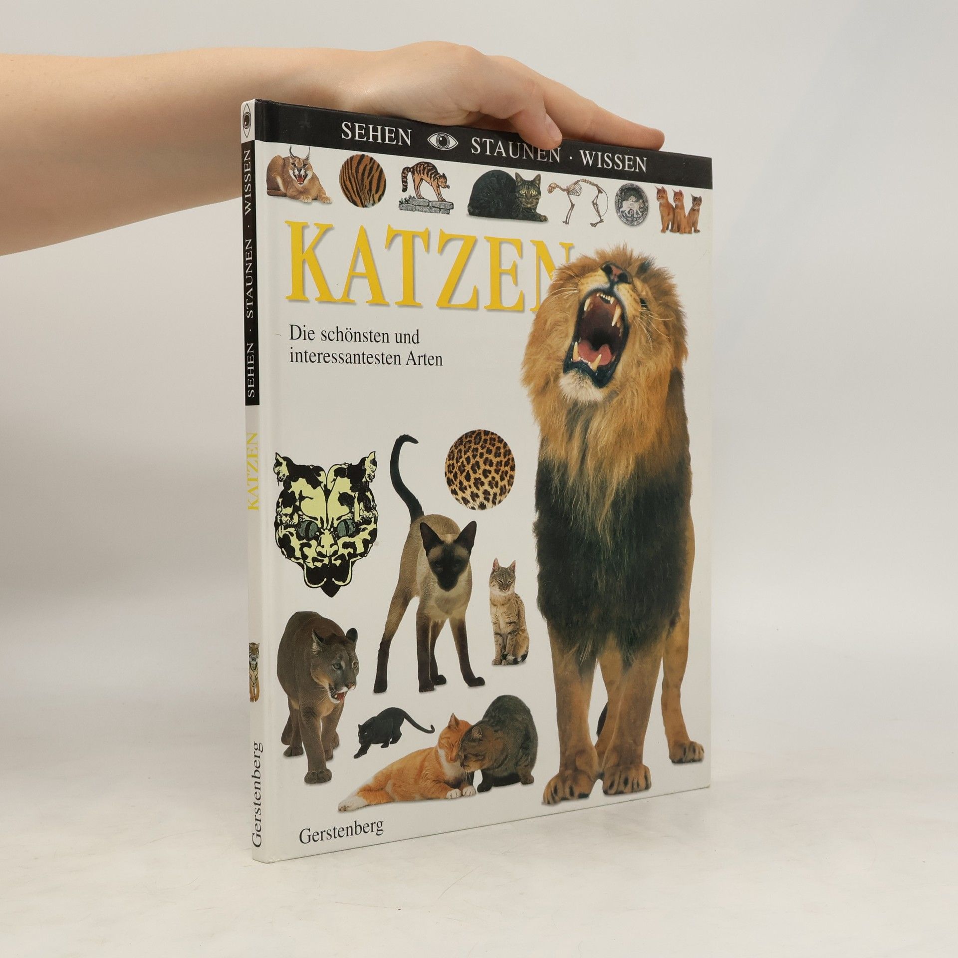 Juliet Clutton-Brock Katzen