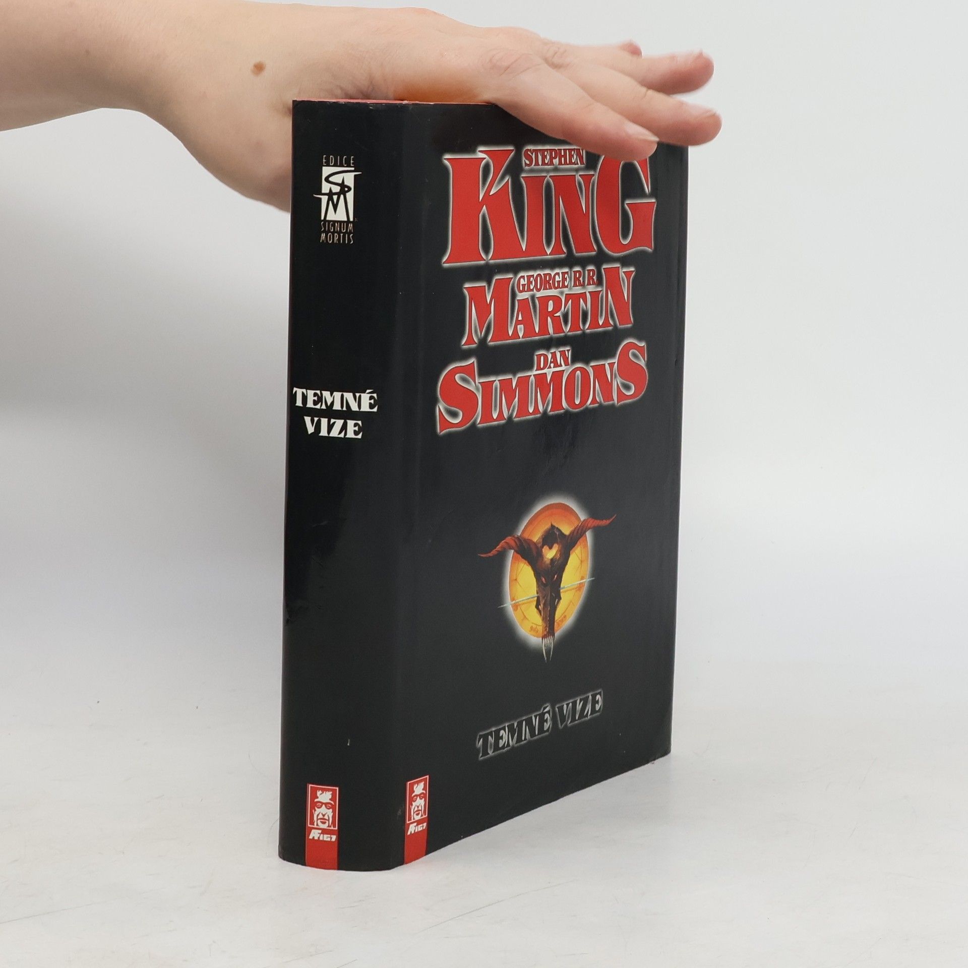 Stephen King Temné vize