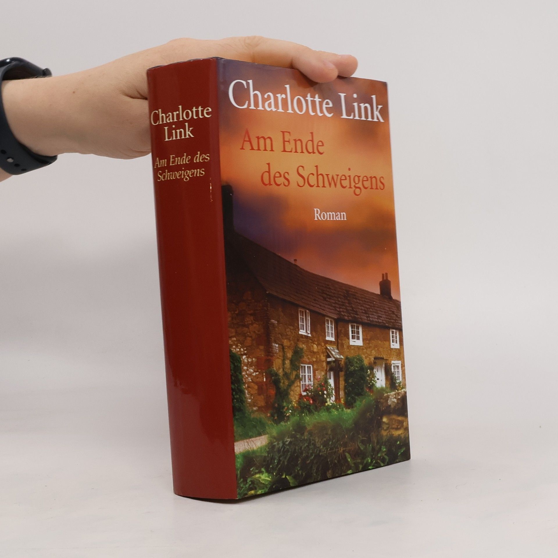 Charlotte Link Am Ende des Schweigens