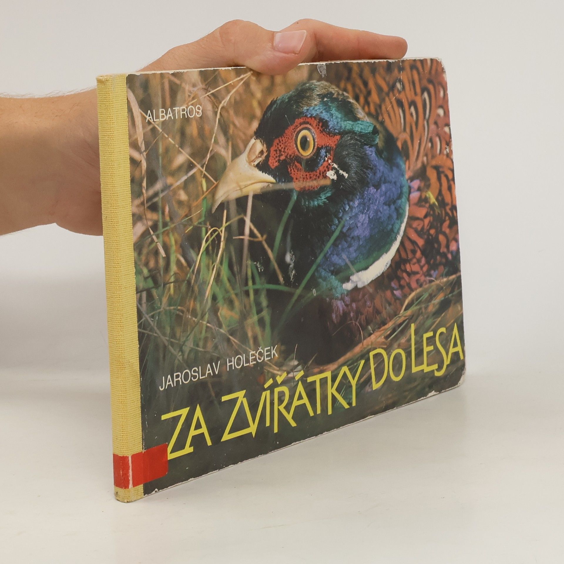 Jaroslav Holeček Za zvířátky do lesa