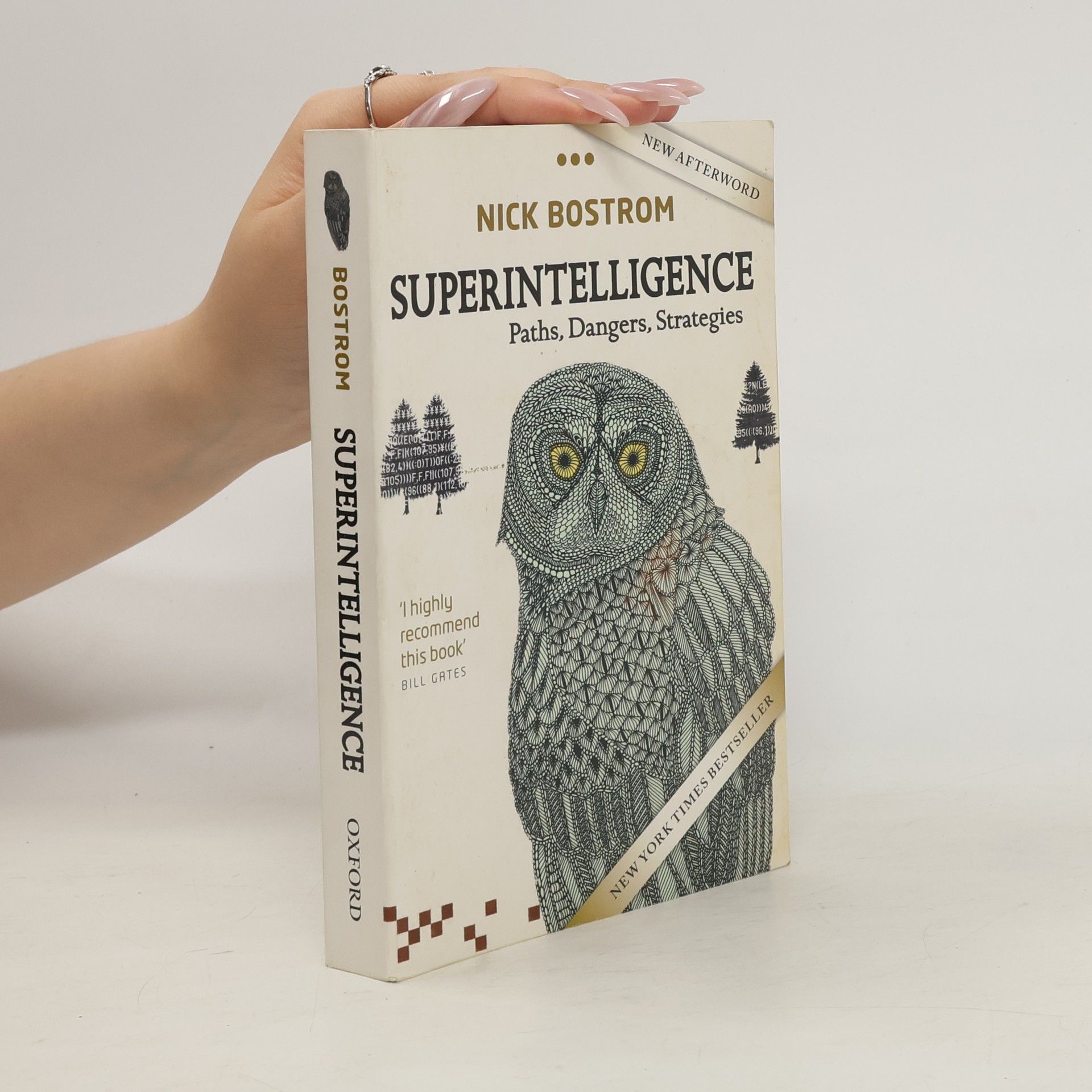 Nick Bostrom Superintelligence