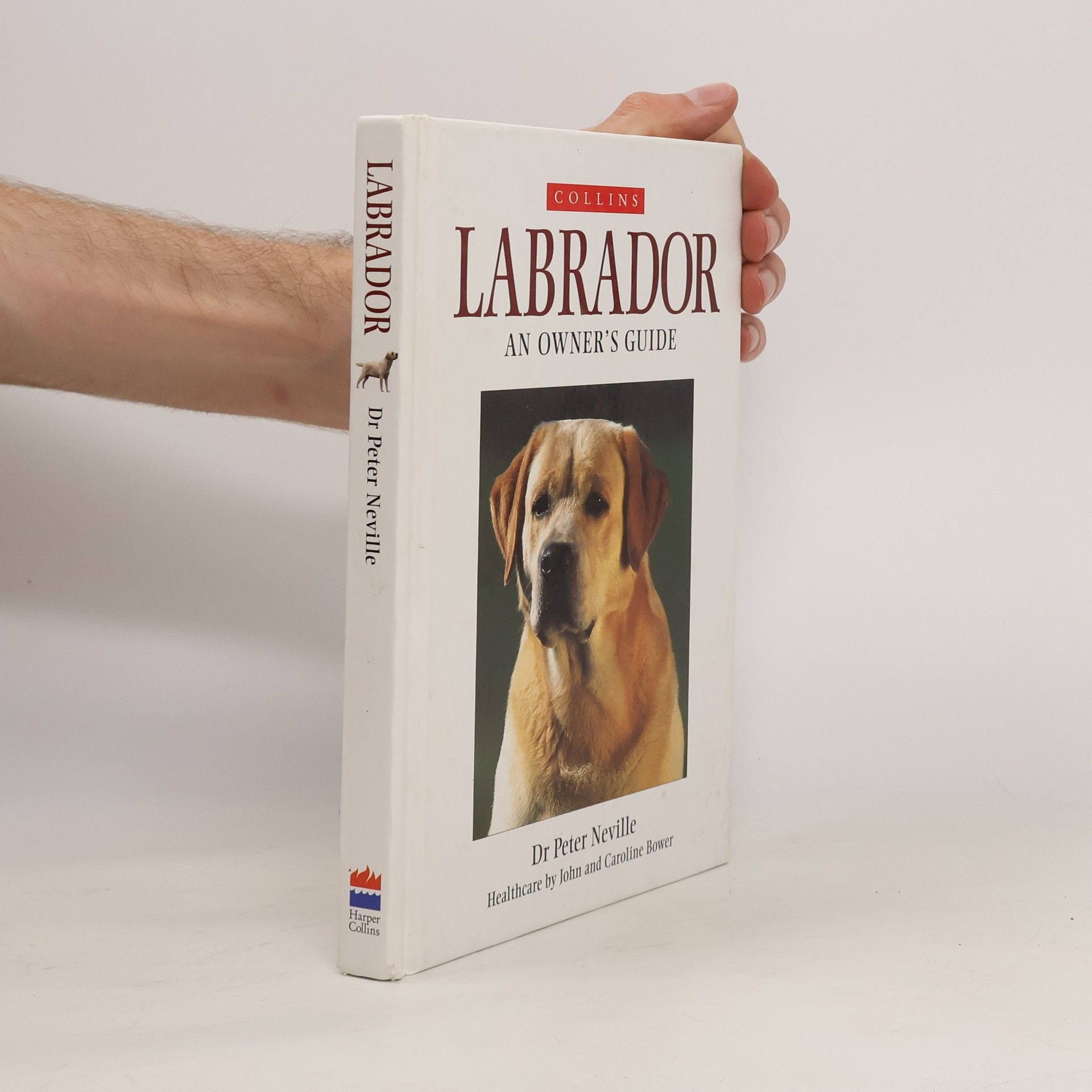 Peter Neville Labrador