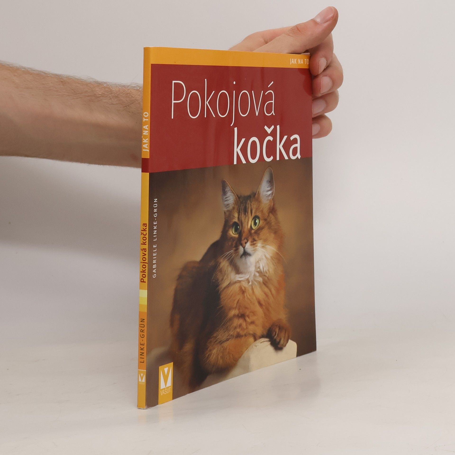Gabriele LinkeGrün Pokojová kočka