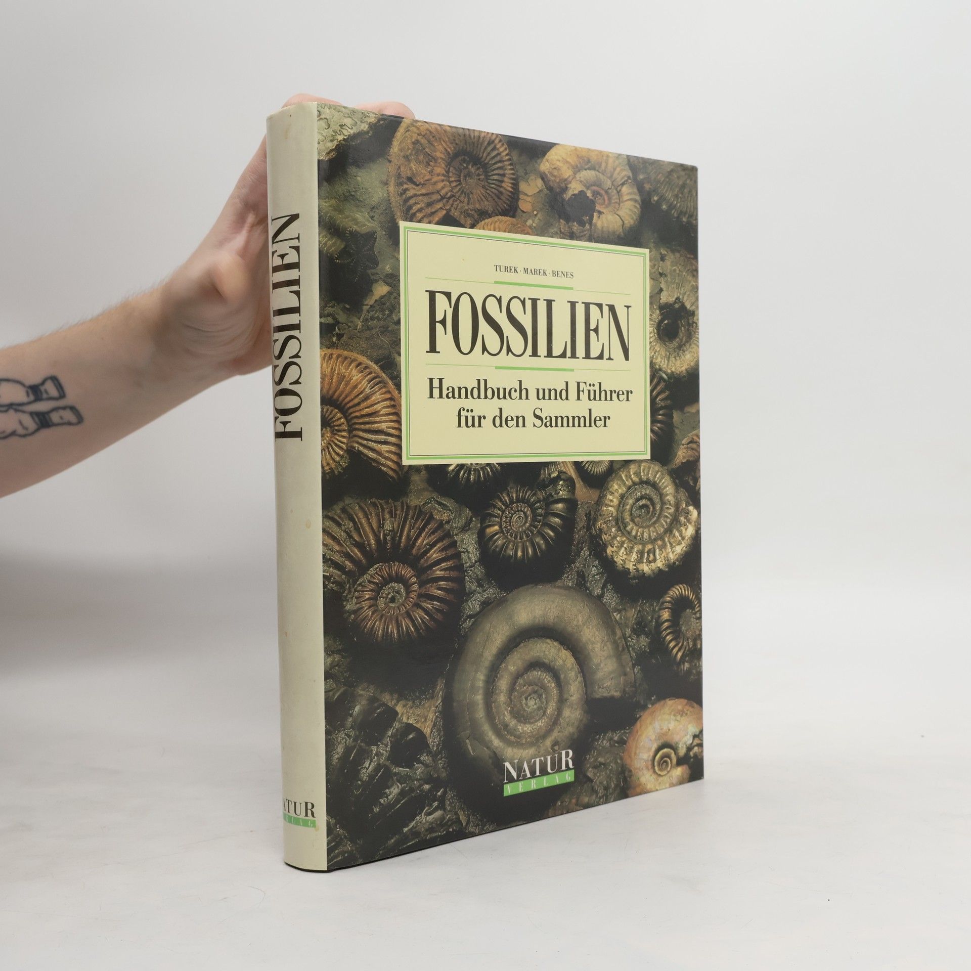 V Turek Fossilien