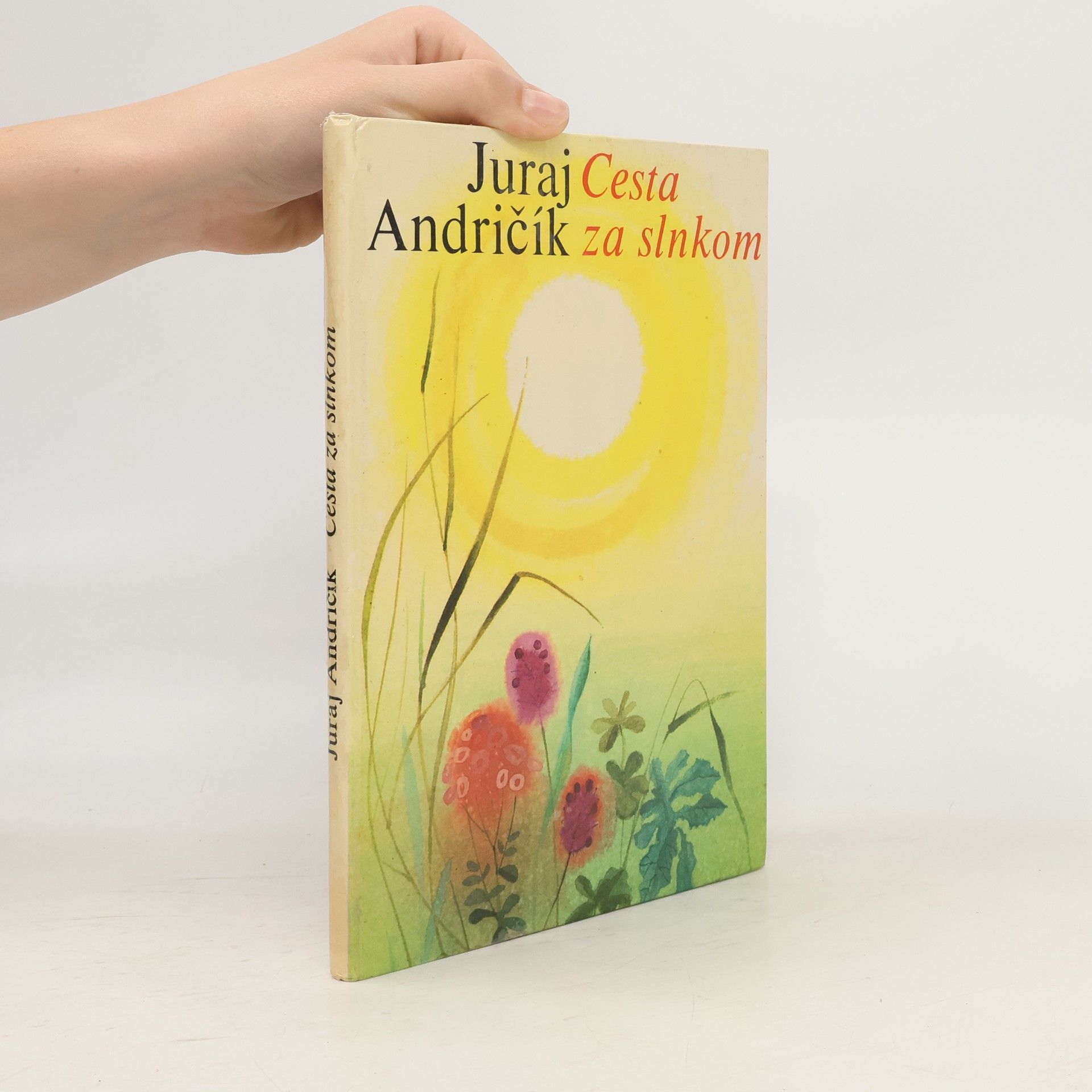 Juraj Andričík Cesta za slnkom