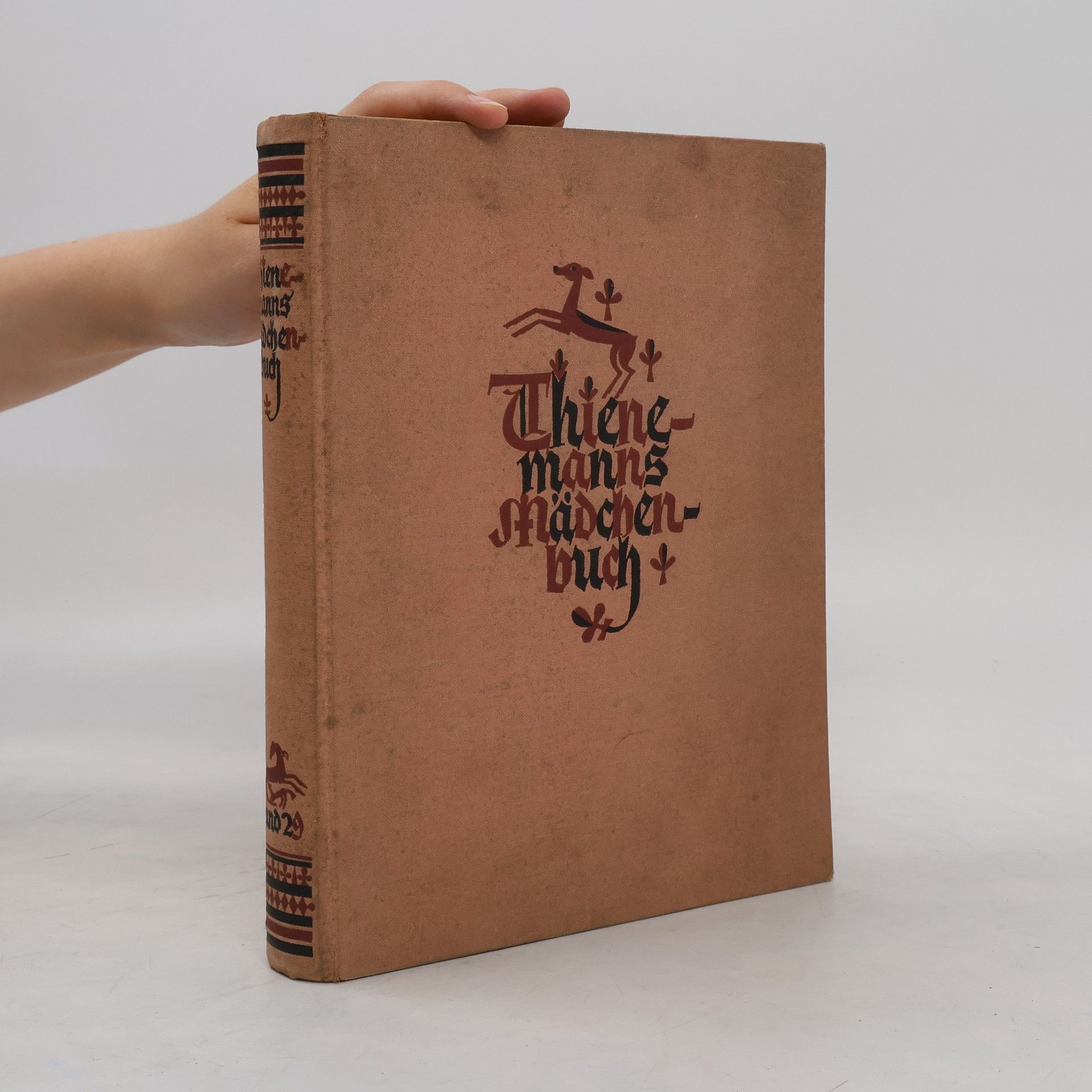 Autorenkollektiv Thienemanns Mädchenbuch 29