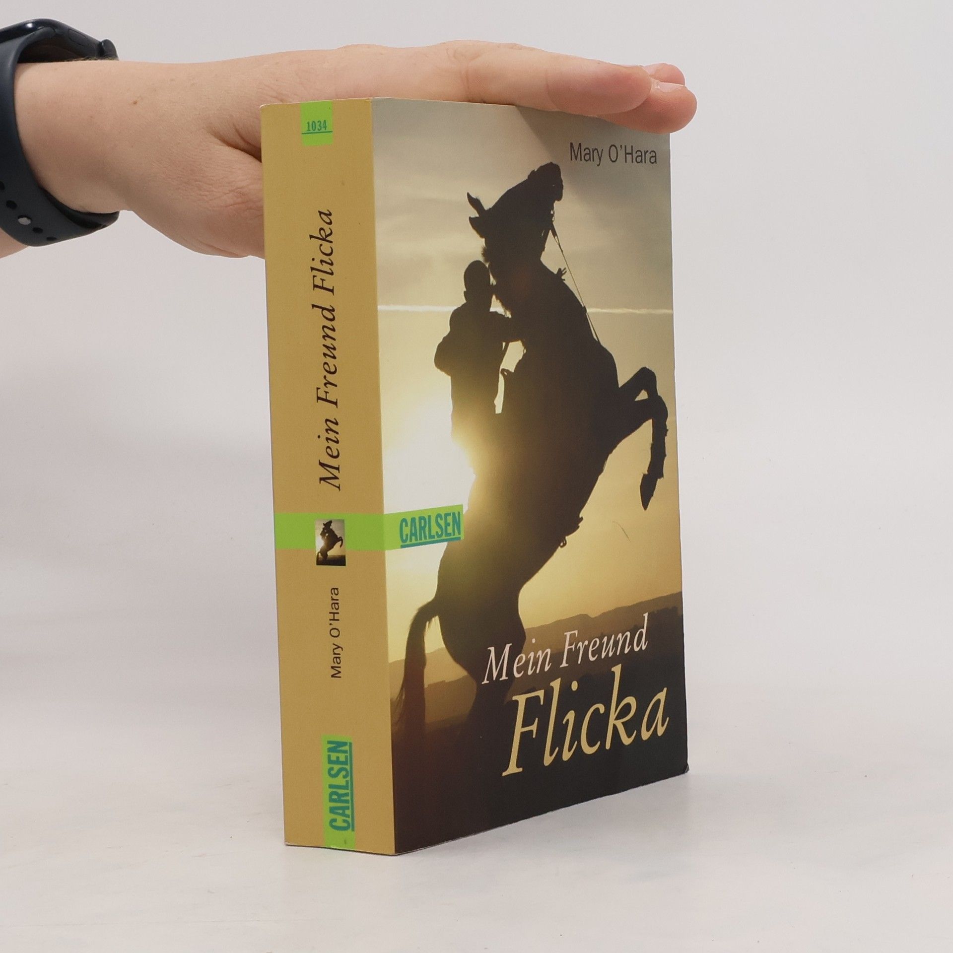 Mary O’Hara Mein Freund Flicka