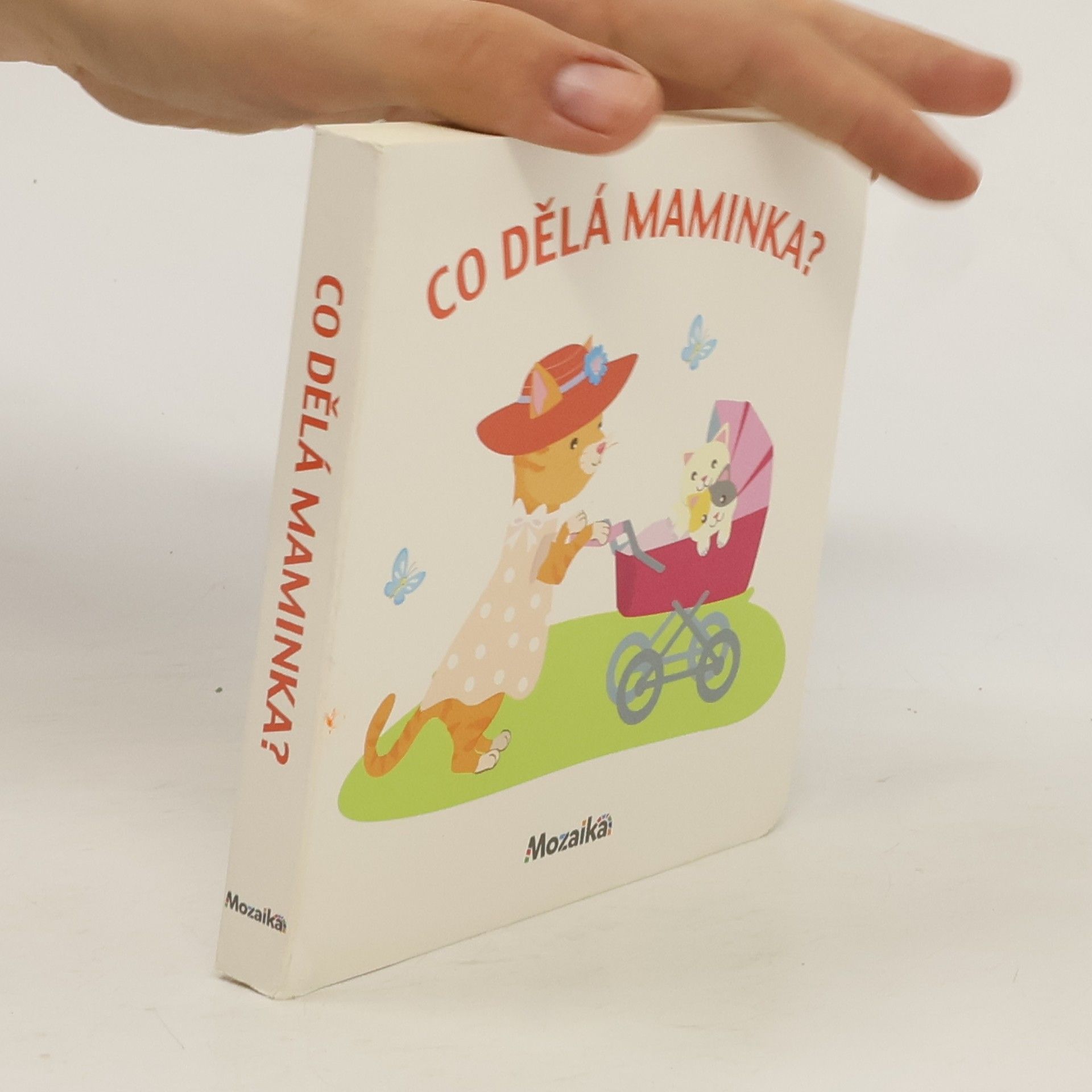 Autorenkollektiv Co dělá maminka?