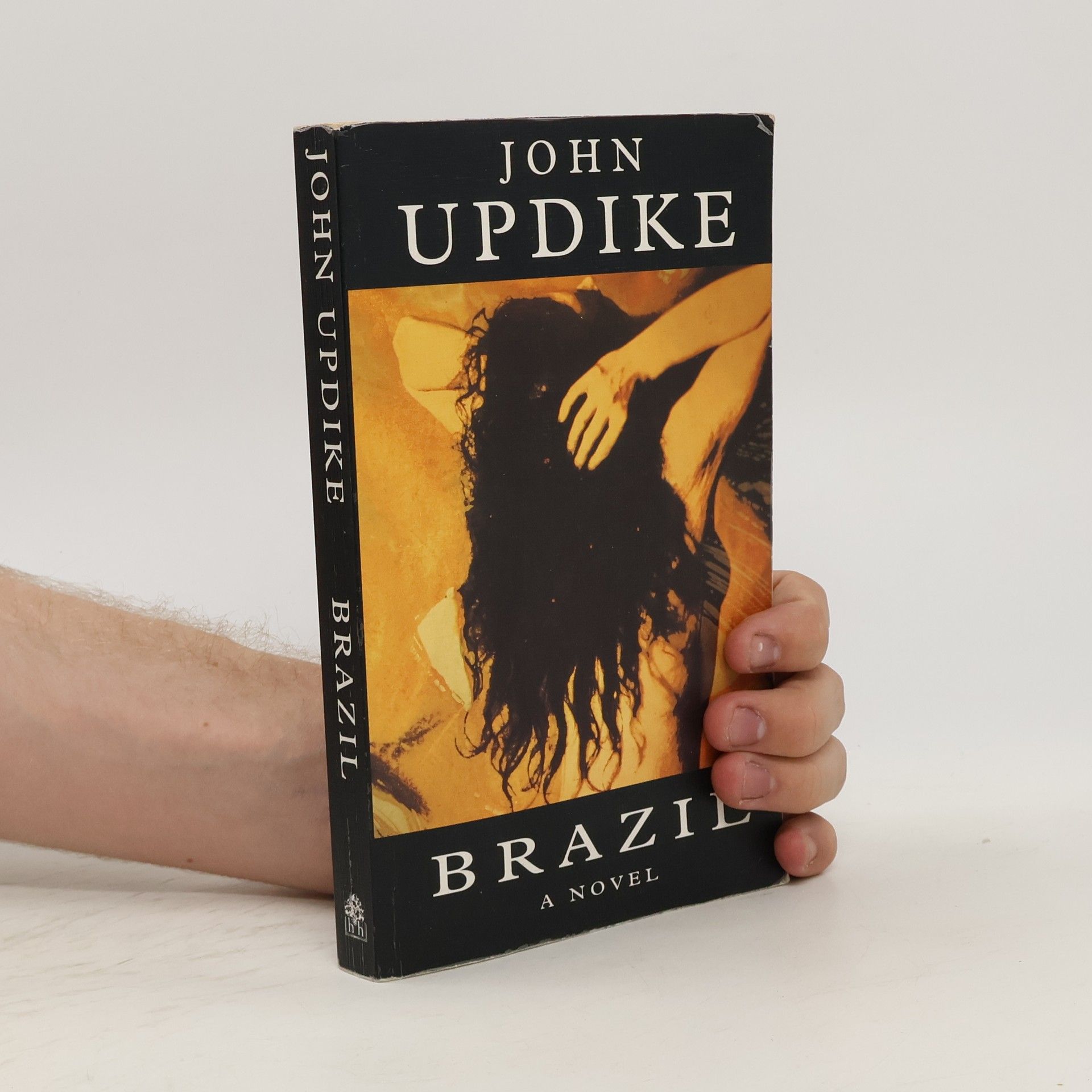 John Updike Brazil