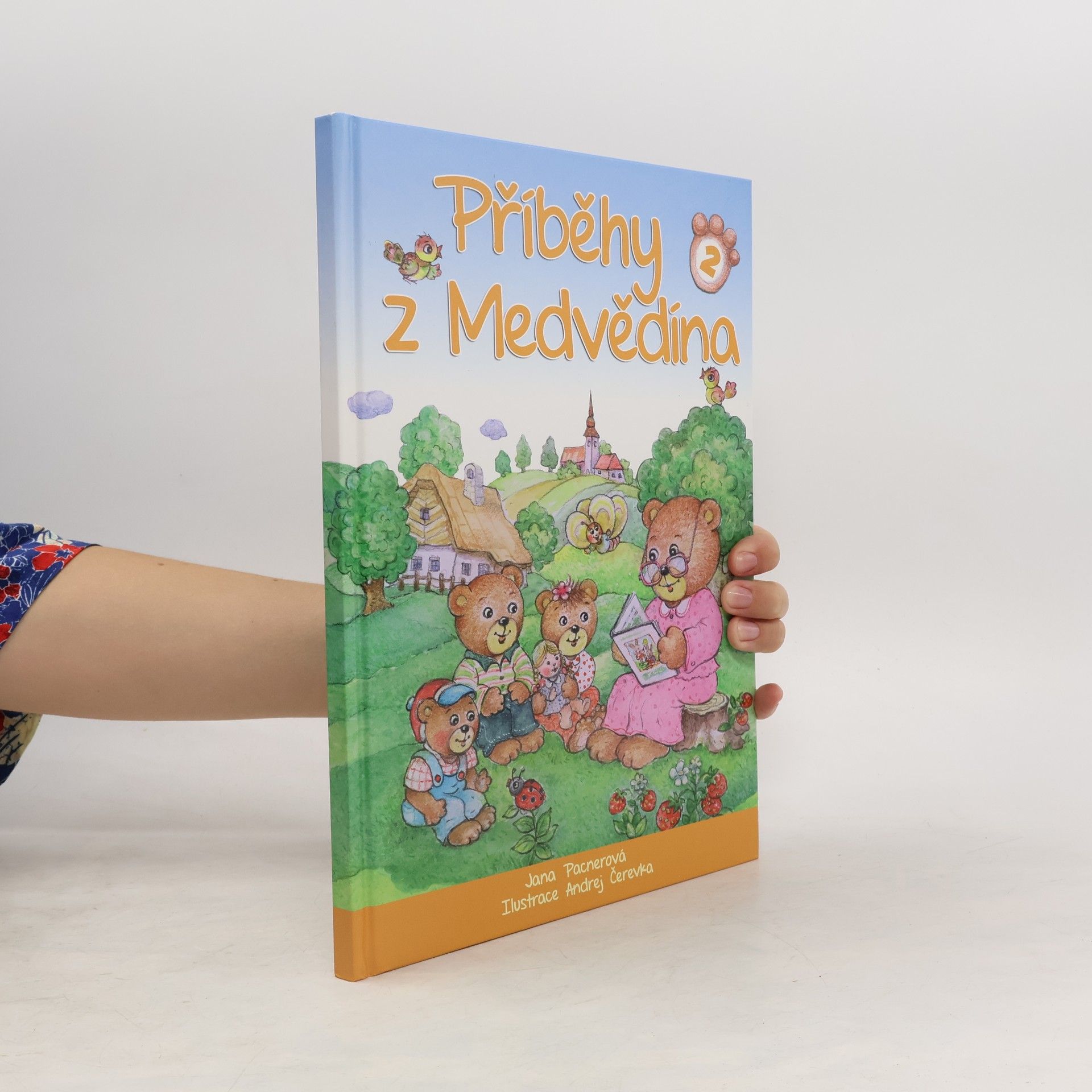 Jana Pacnerová Příběhy z Medvědína 2