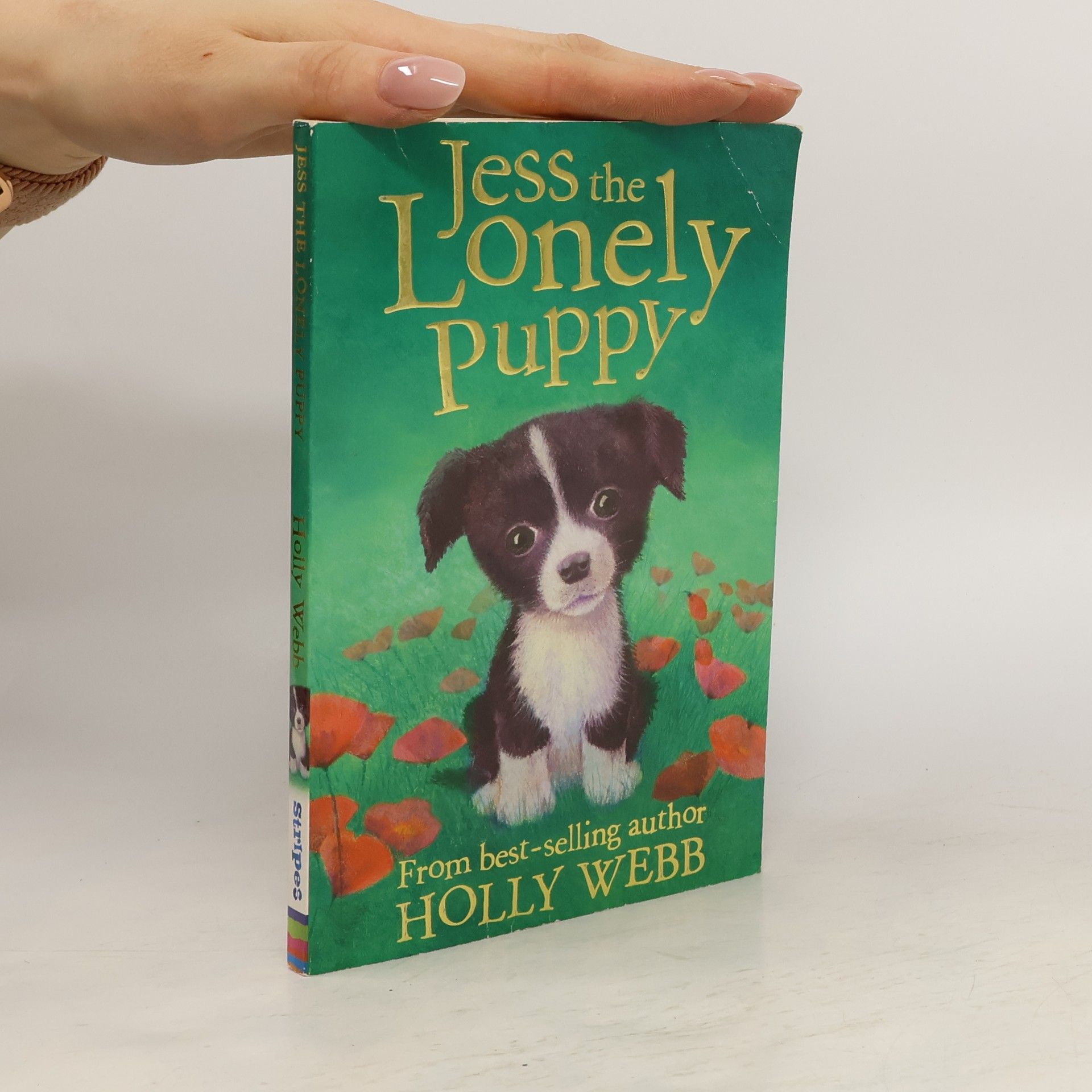 Holly Webb Jess the Lonely Puppy