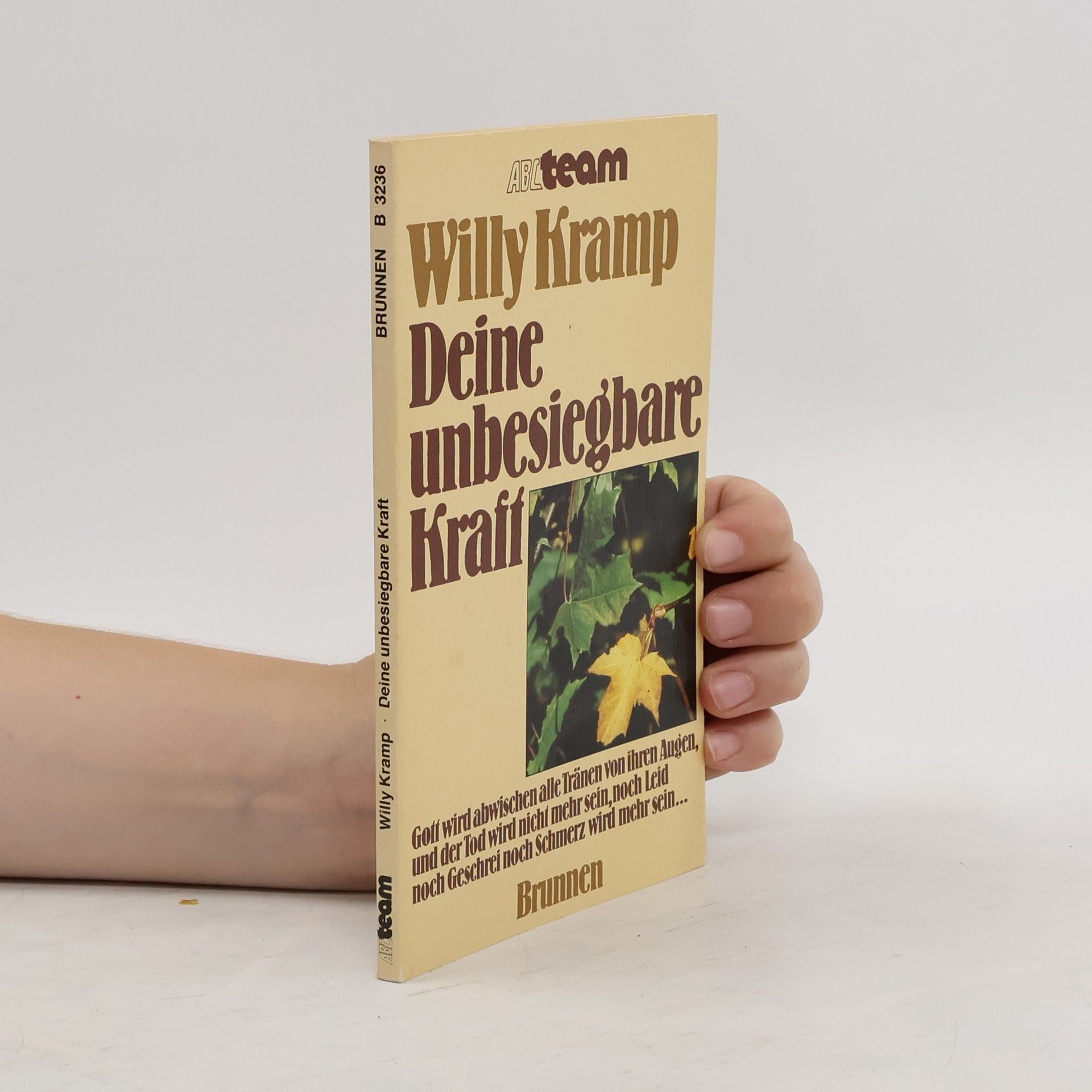 Willy Kramp Deine unbesiegbare Kraft
