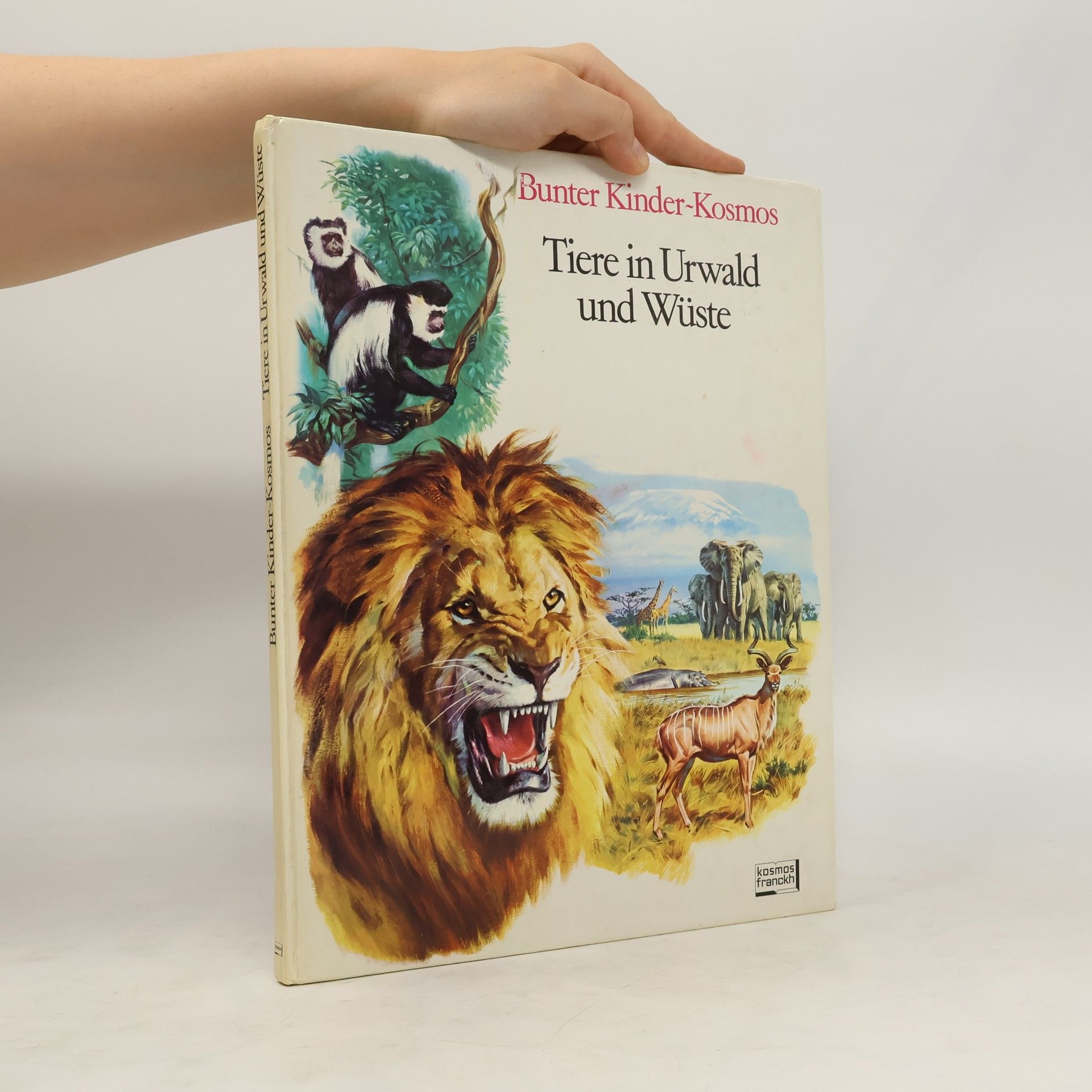 Autorenkollektiv Tiere in Urwald und Wüste