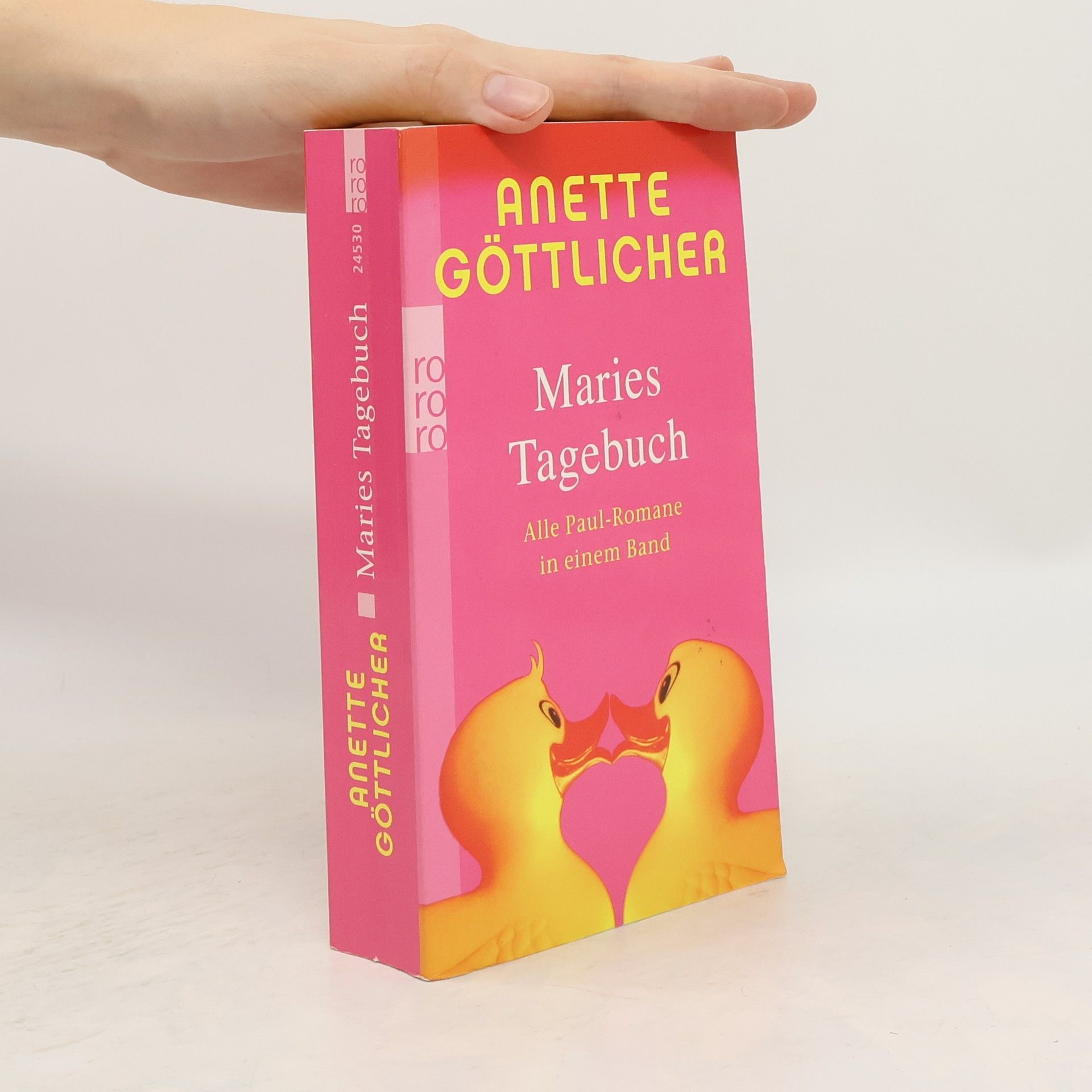 Anette Göttlicher Maries Tagebuch