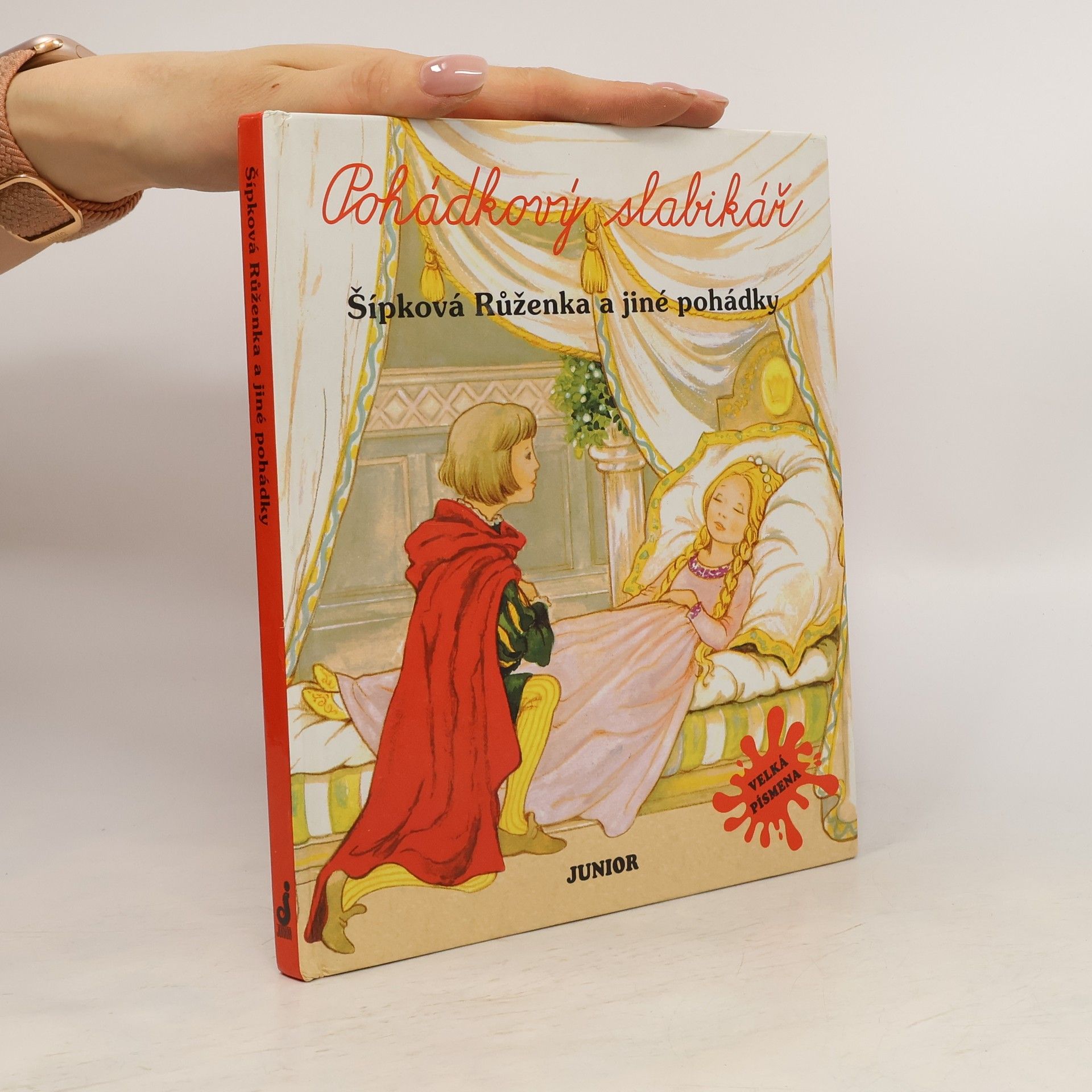 Kateřina Závadová Šípková Růženka a jiné pohádky