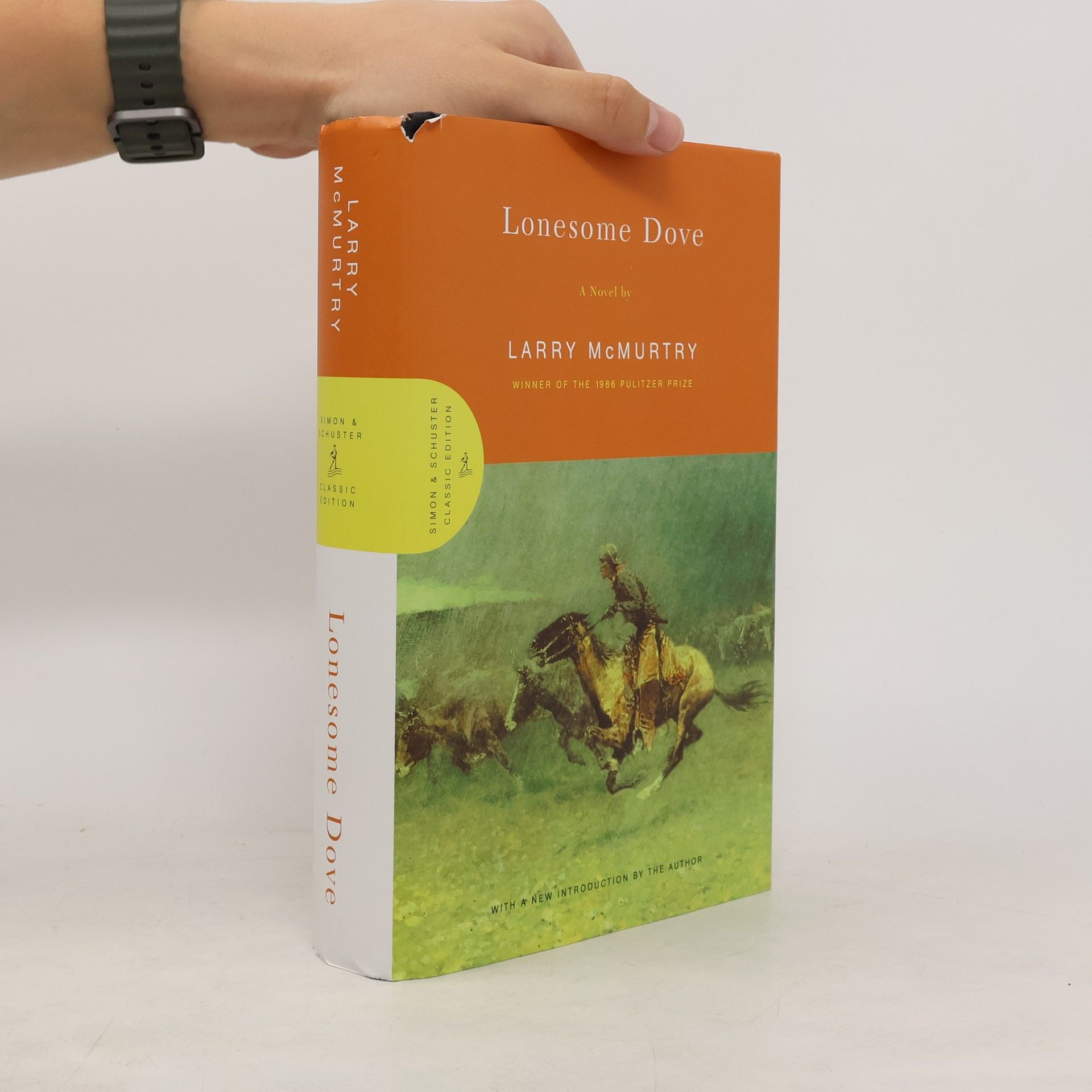 Larry McMurtry Lonesome Dove