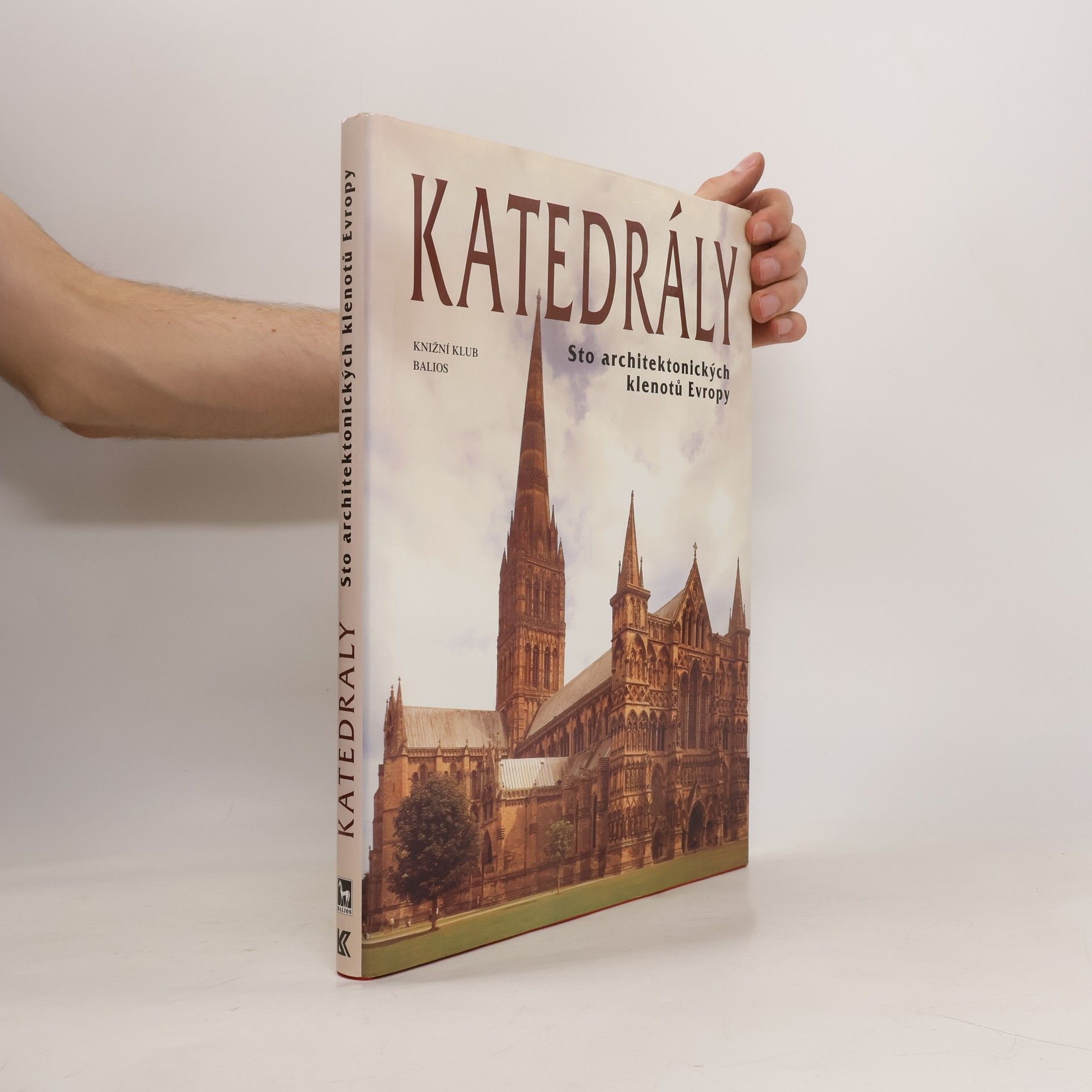 kolektiv Katedrály : sto architektonických klenotů Evropy