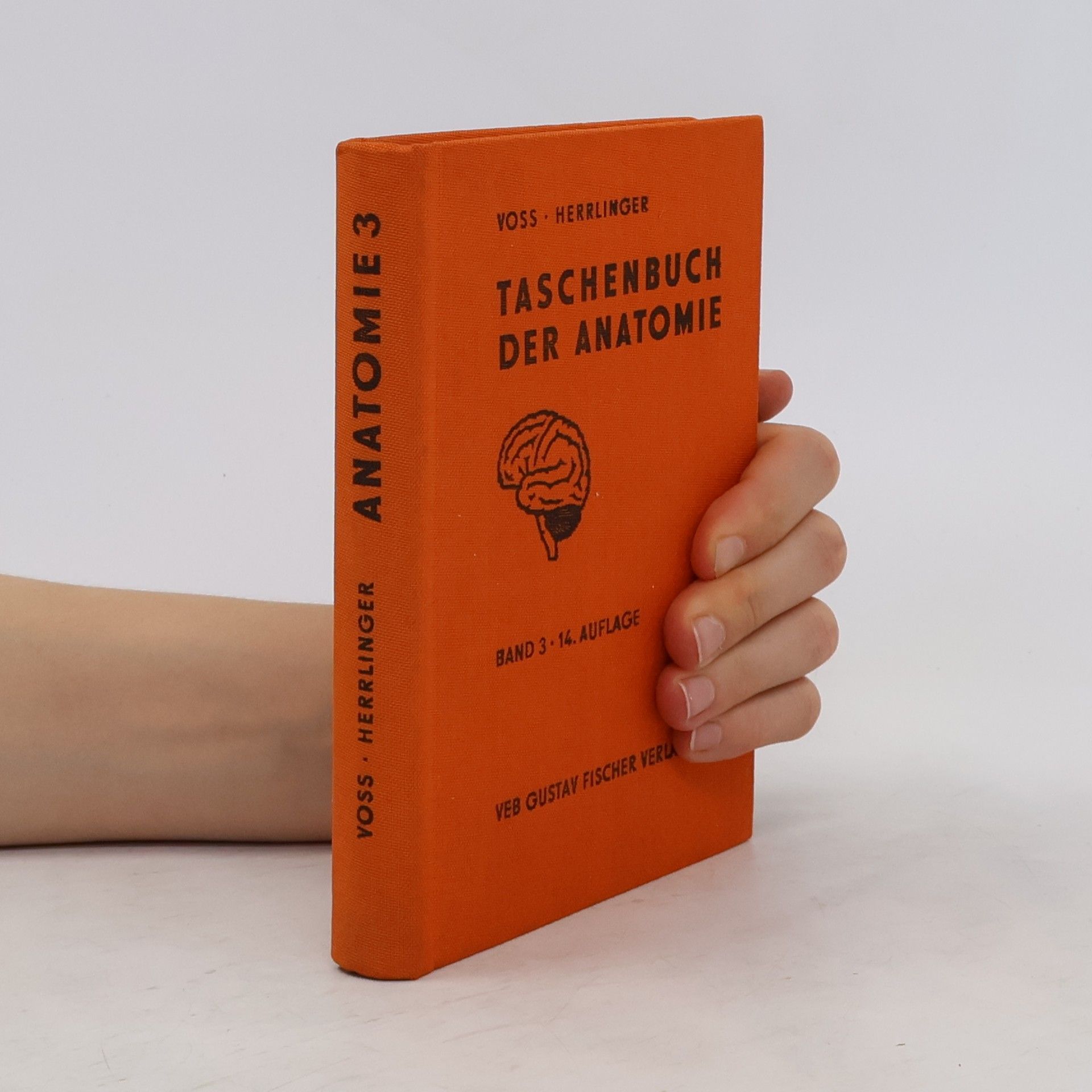 Hermann Voss Taschenbuch der Anatomie. Band 3