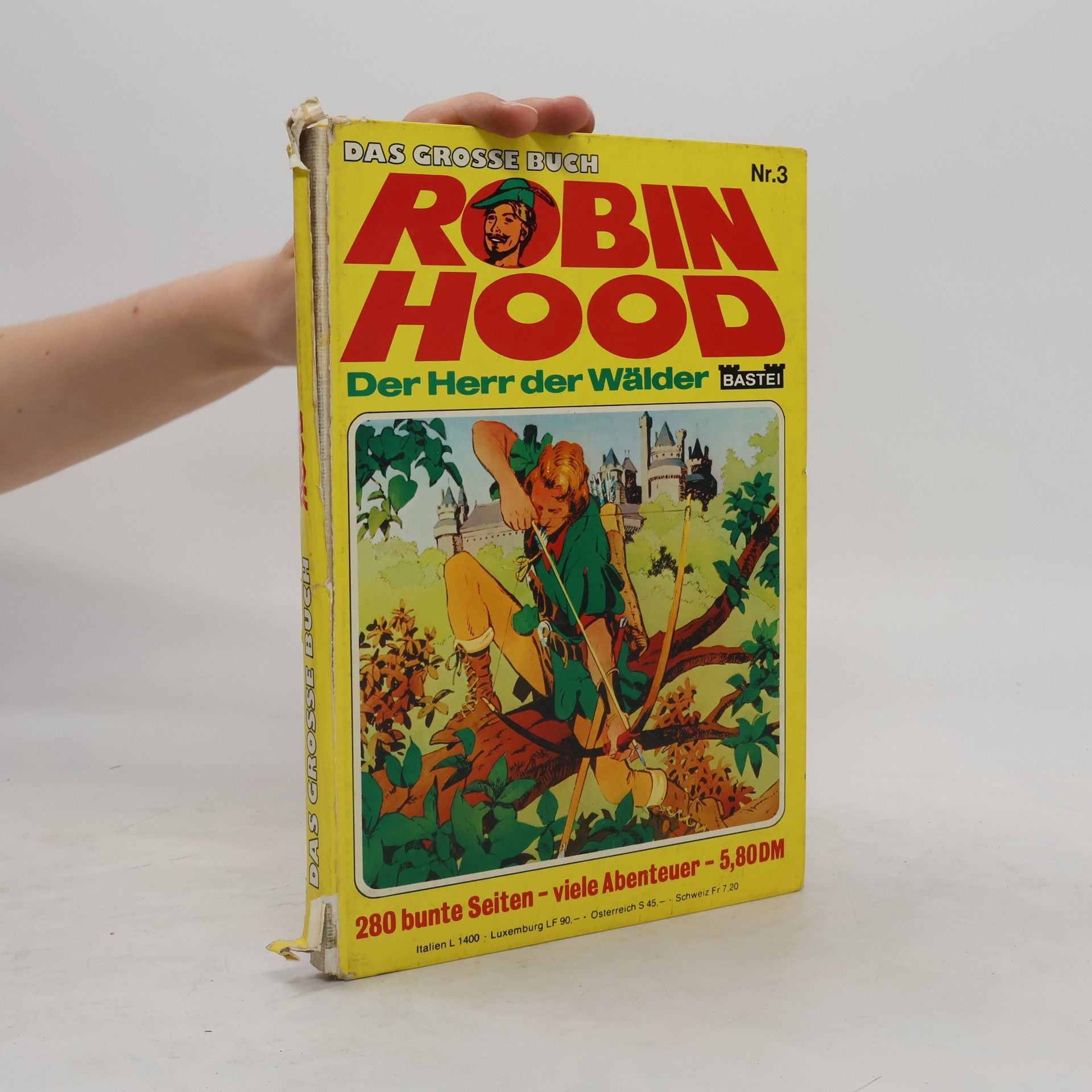 Collectif d'auteurs Das grosse Buch Robin Hood 3. Der Herr der Wälder