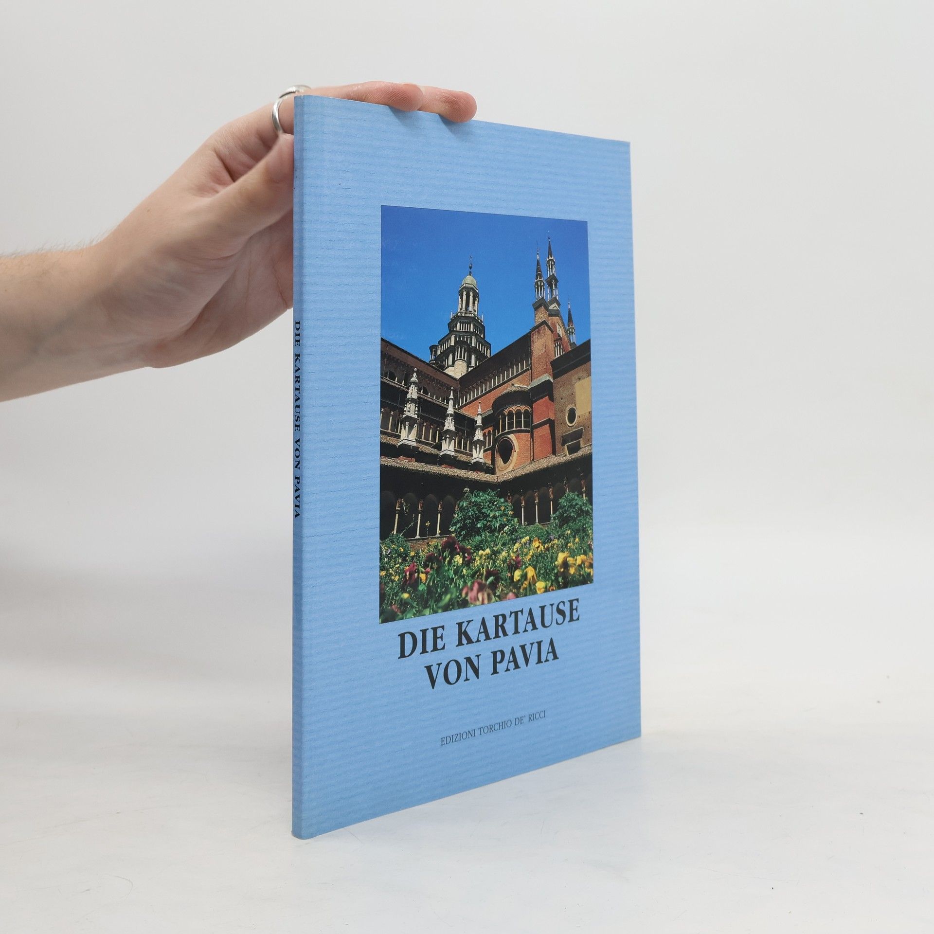 Autorenkollektiv Die Kartause von Pavia