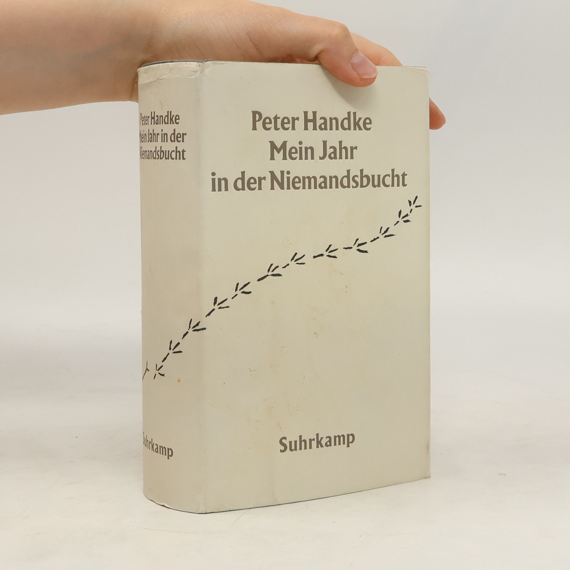 Peter Handke Mein Jahr in der Niemandsbucht
