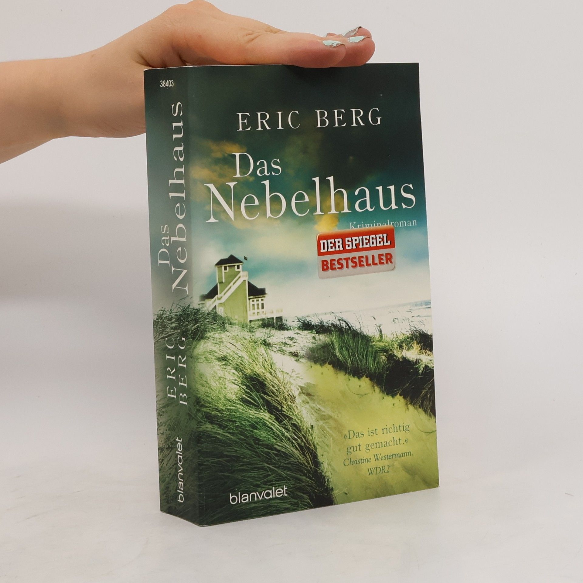 Eric Berg Das Nebelhaus