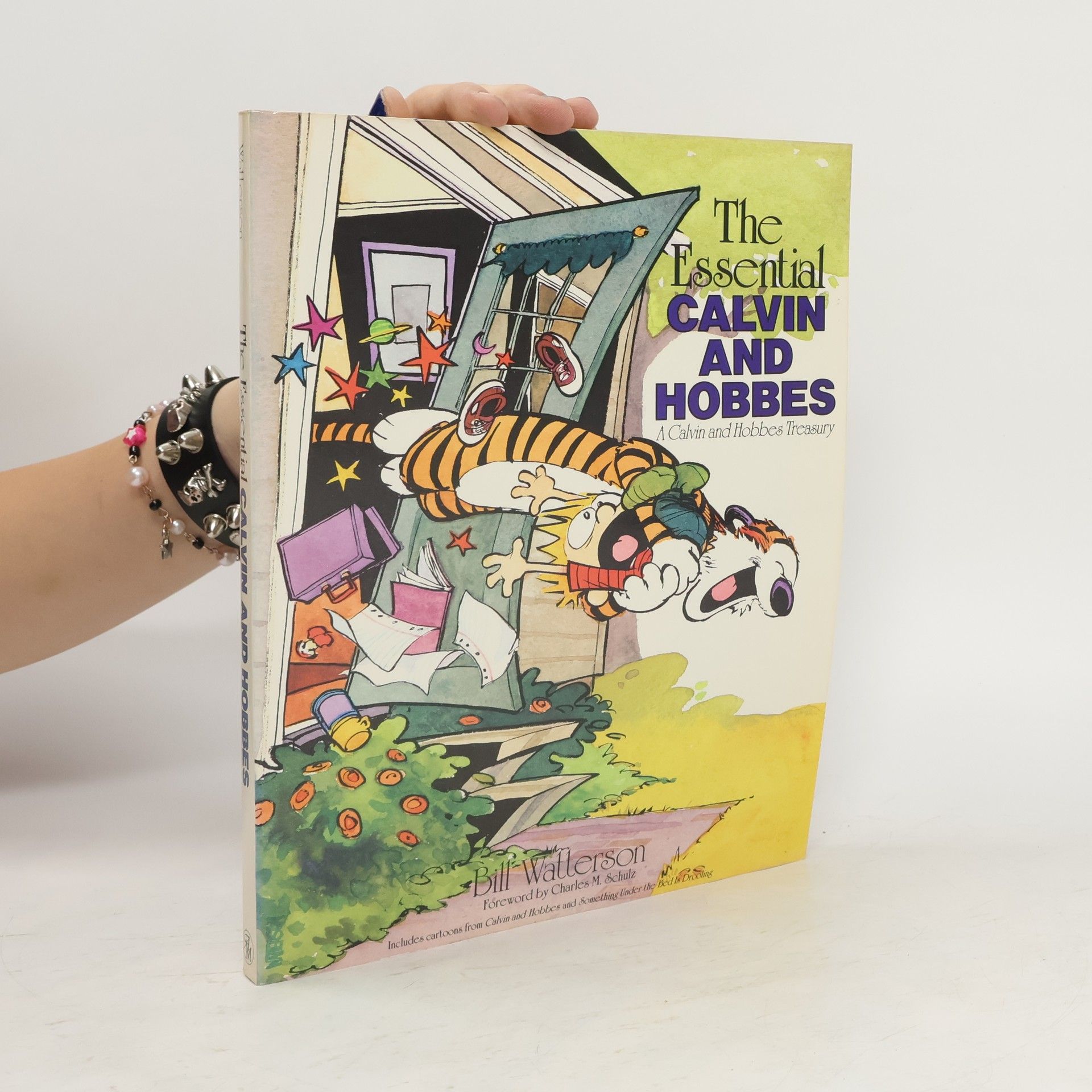 Bill Watterson The Essential Calvin And Hobbes
