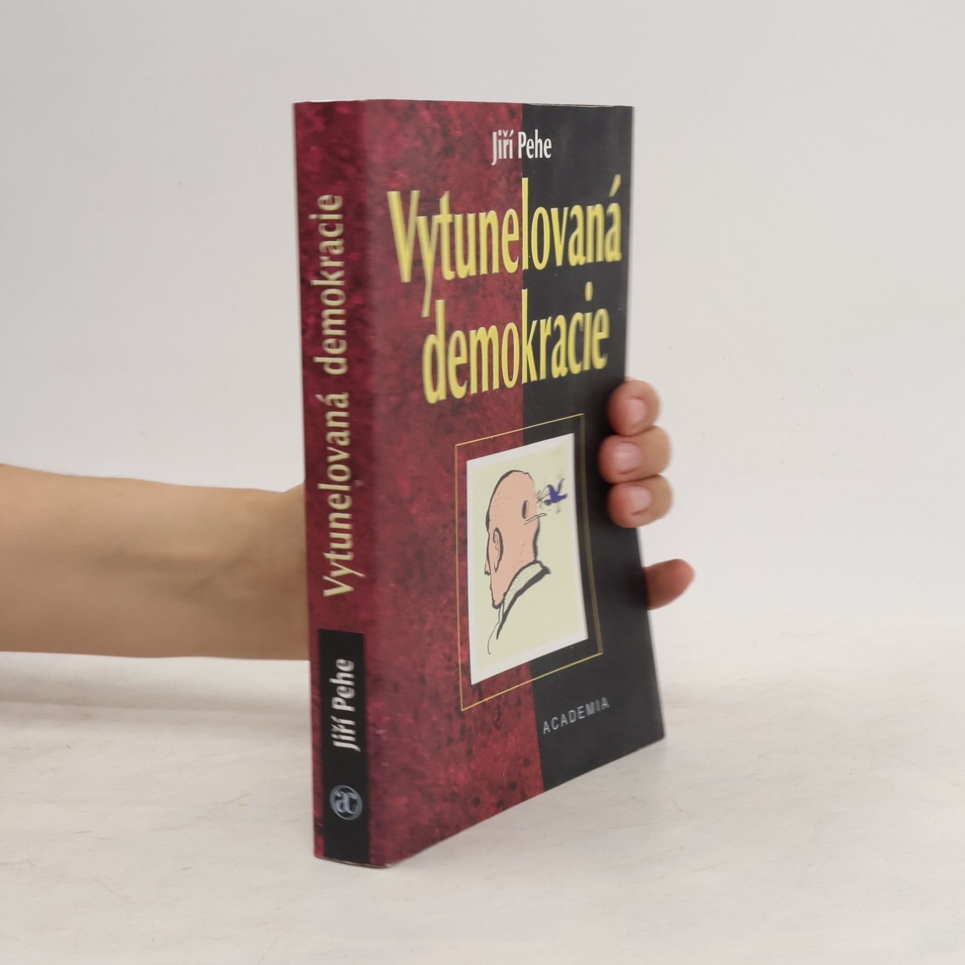 Jiří Pehe Vytunelovaná demokracie