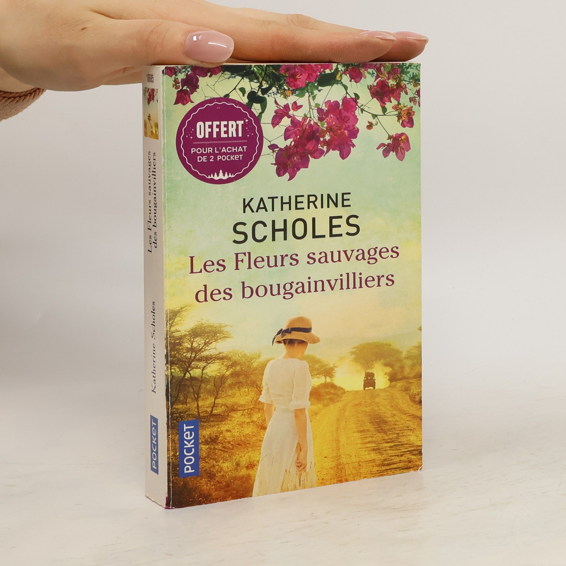 Katherine Scholes Les Fleuers sauvages des bougainvilliers