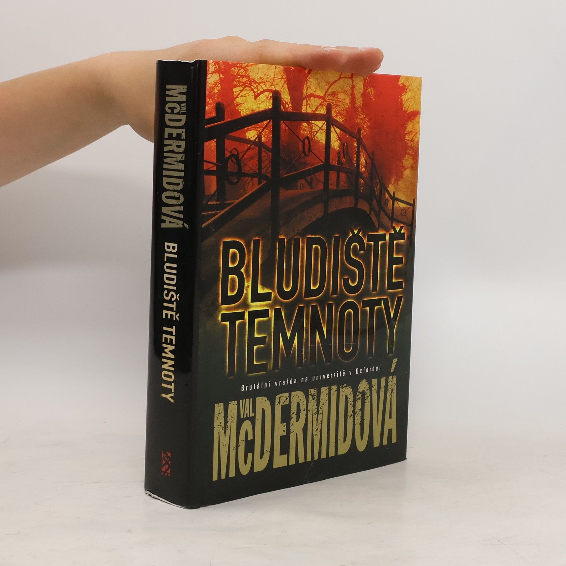 Val McDermid Bludiště temnoty