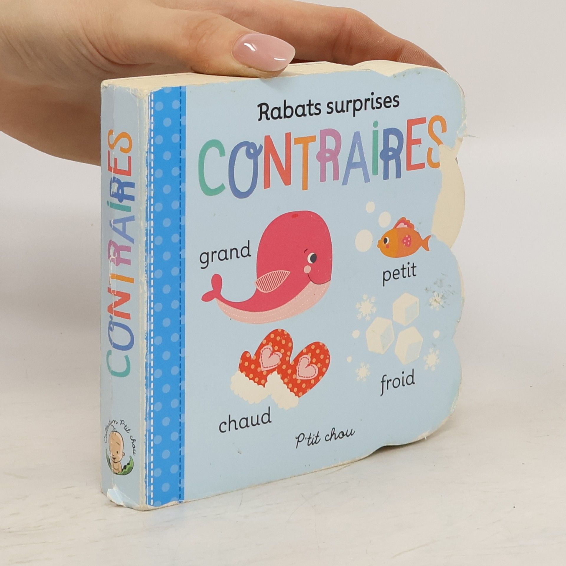 AA.VV. Rabats surprises