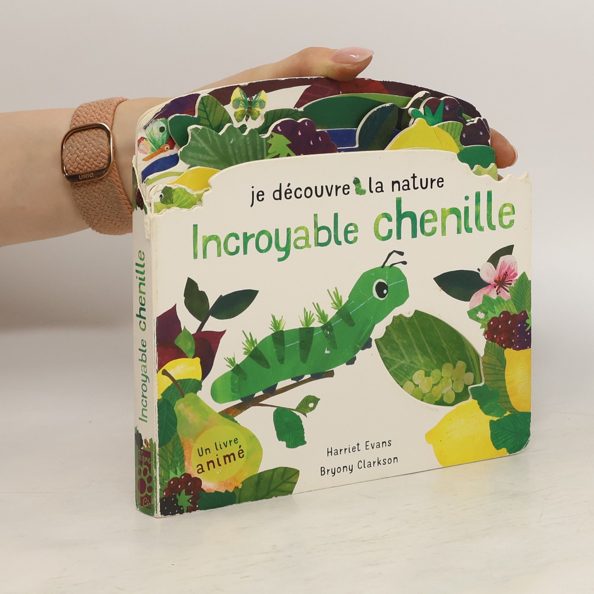 Harriet Evans Incroyable chenille