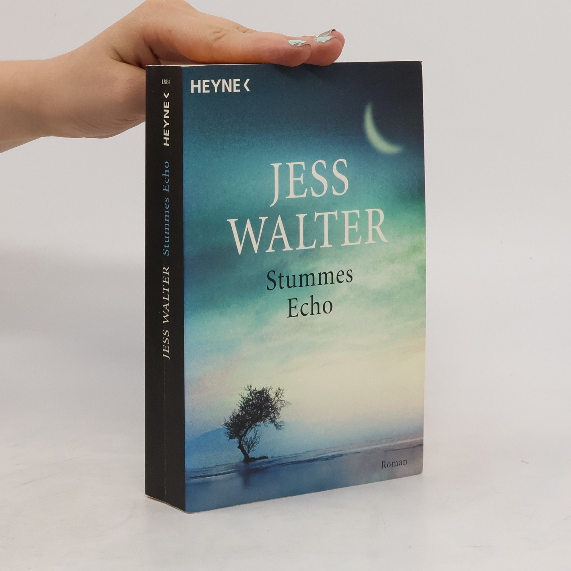 Jess Walter Stummes Echo. Roman