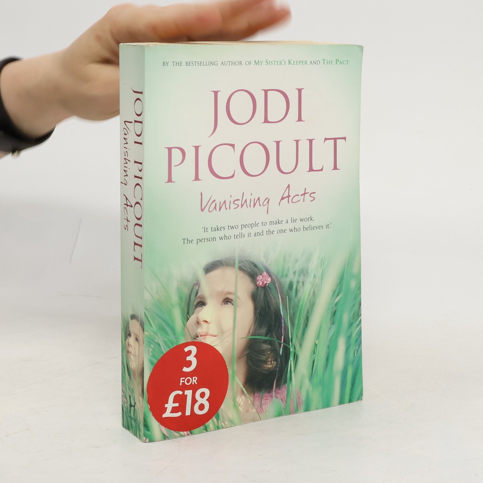 Jodi Picoult Vanishing Acts