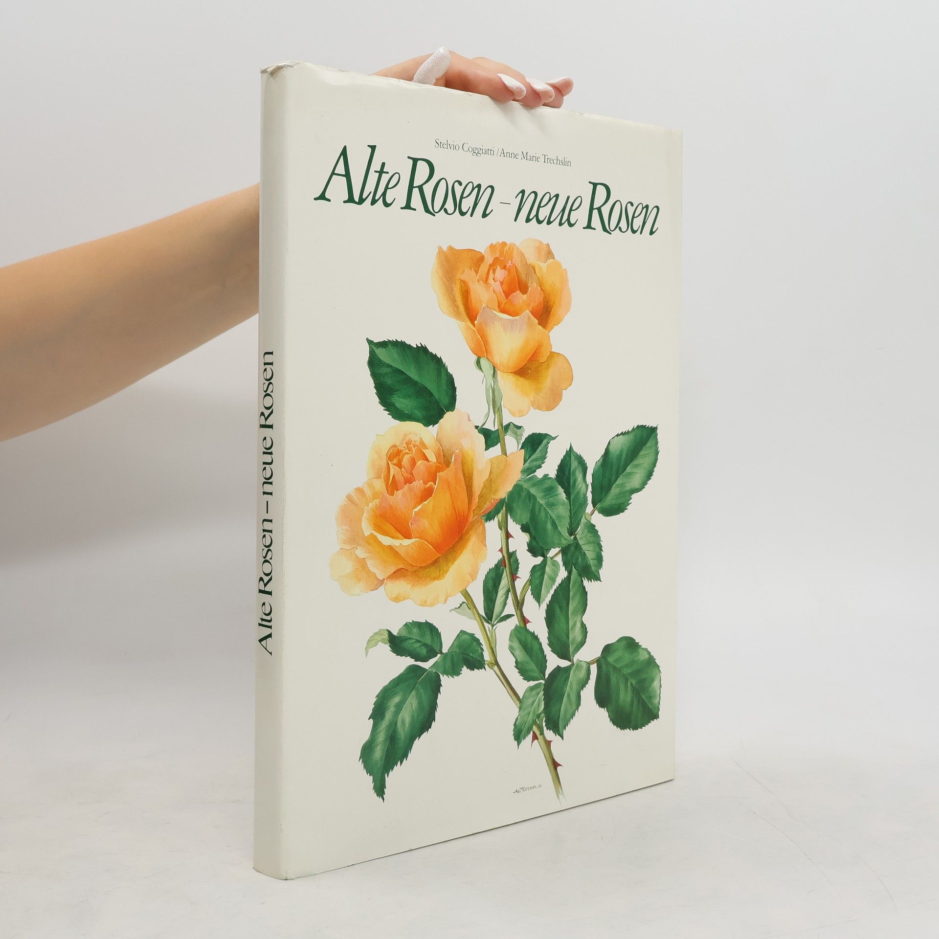Stelvio Coggiatti Alte Rosen - neue Rosen