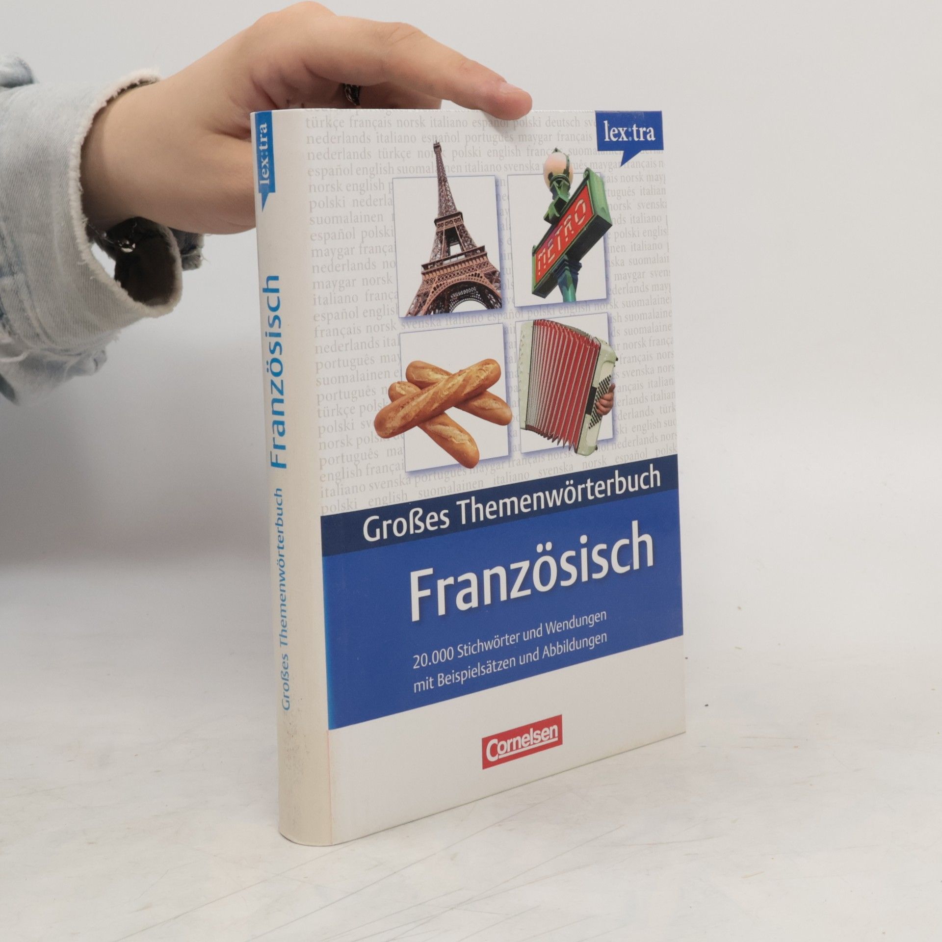 Wolfgang Worsch Großes Themenwörterbuch Französisch