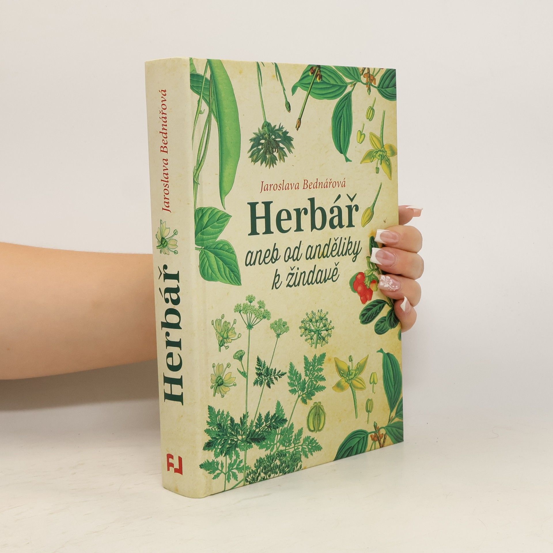 Jaroslava Bednářová Herbář, aneb, Od anděliky k žindavě