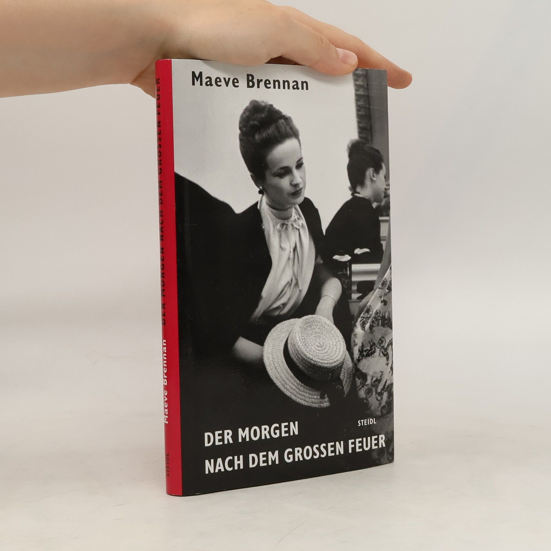 Brennan Maeve Der Morgen nach dem großen Feuer