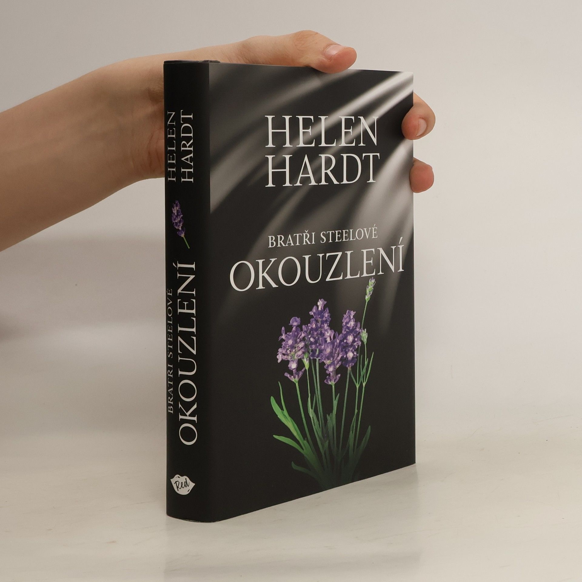 Helen Hardt Bratři Steelové. Okouzlení