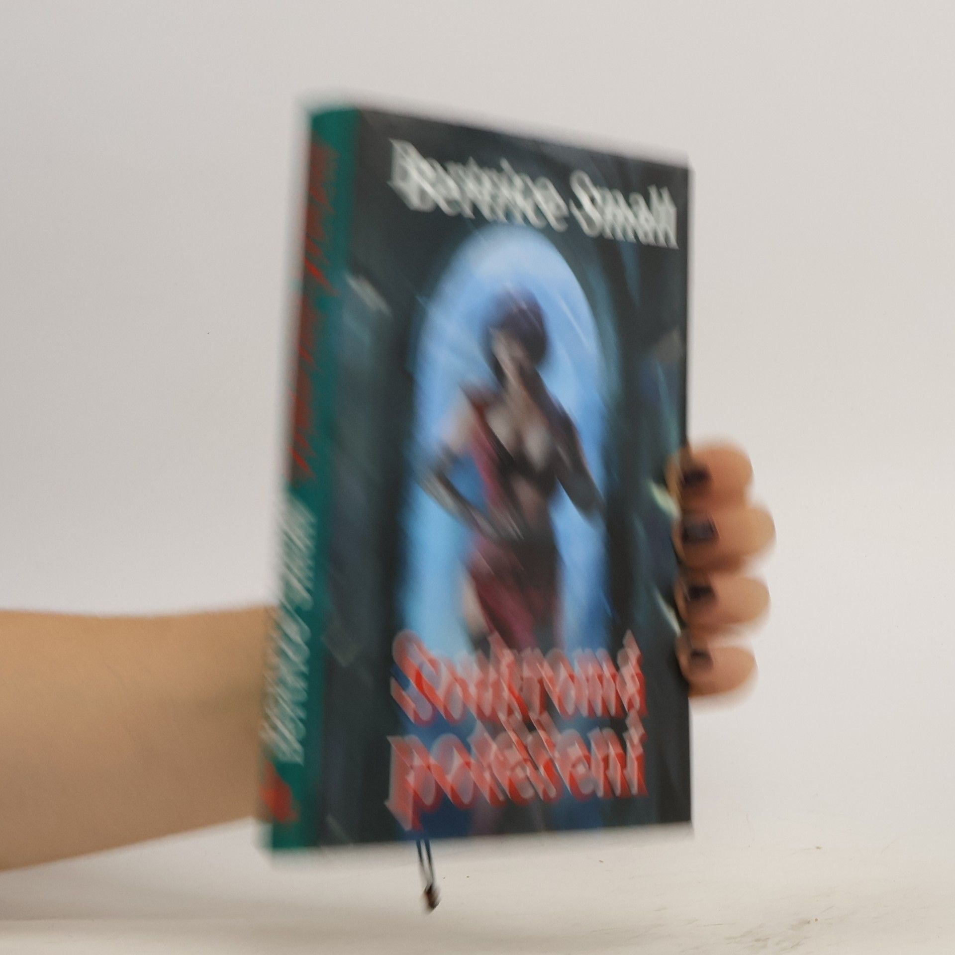 Bertrice Small Soukromá potěšení