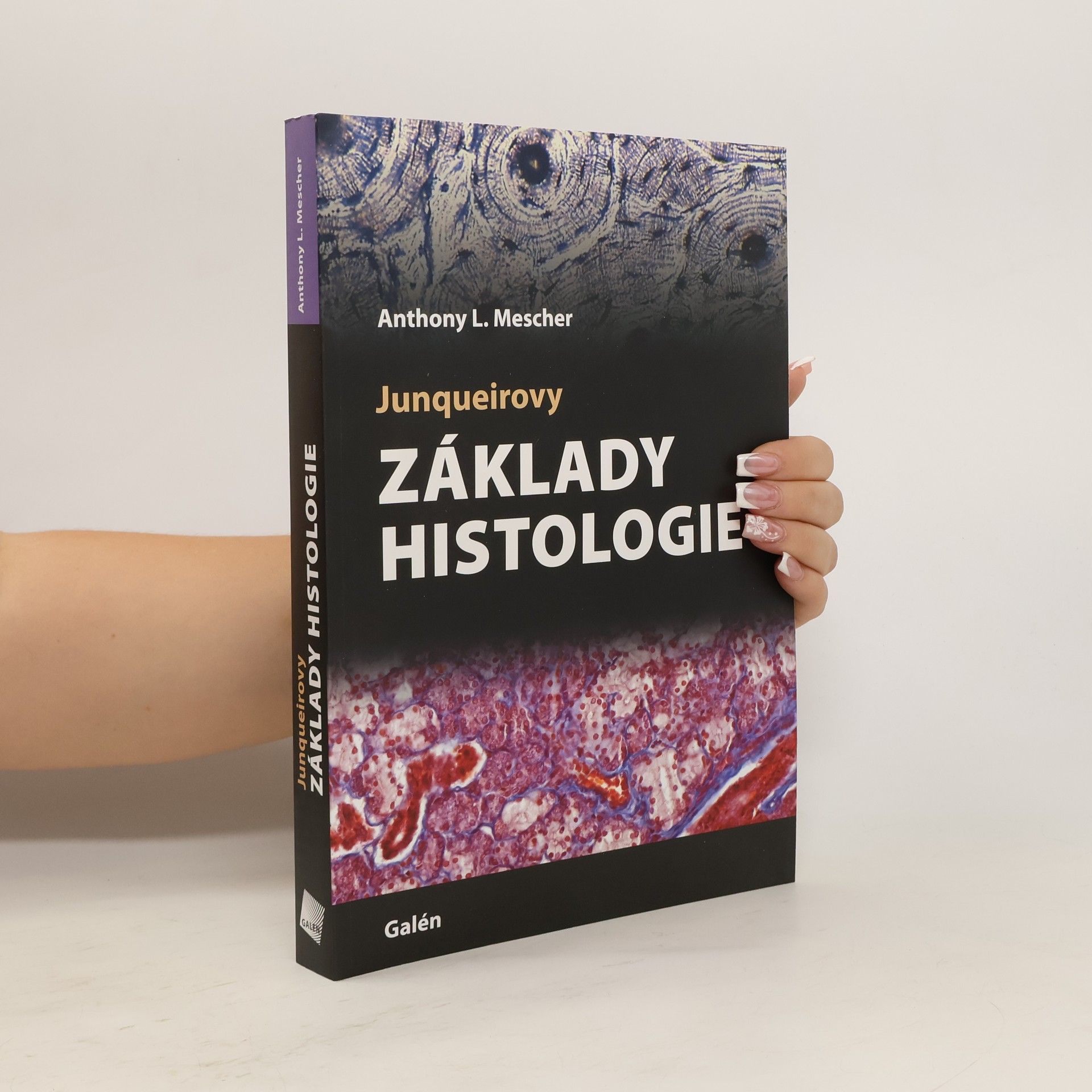 Anthony Mescher Junqueirovy základy histologie