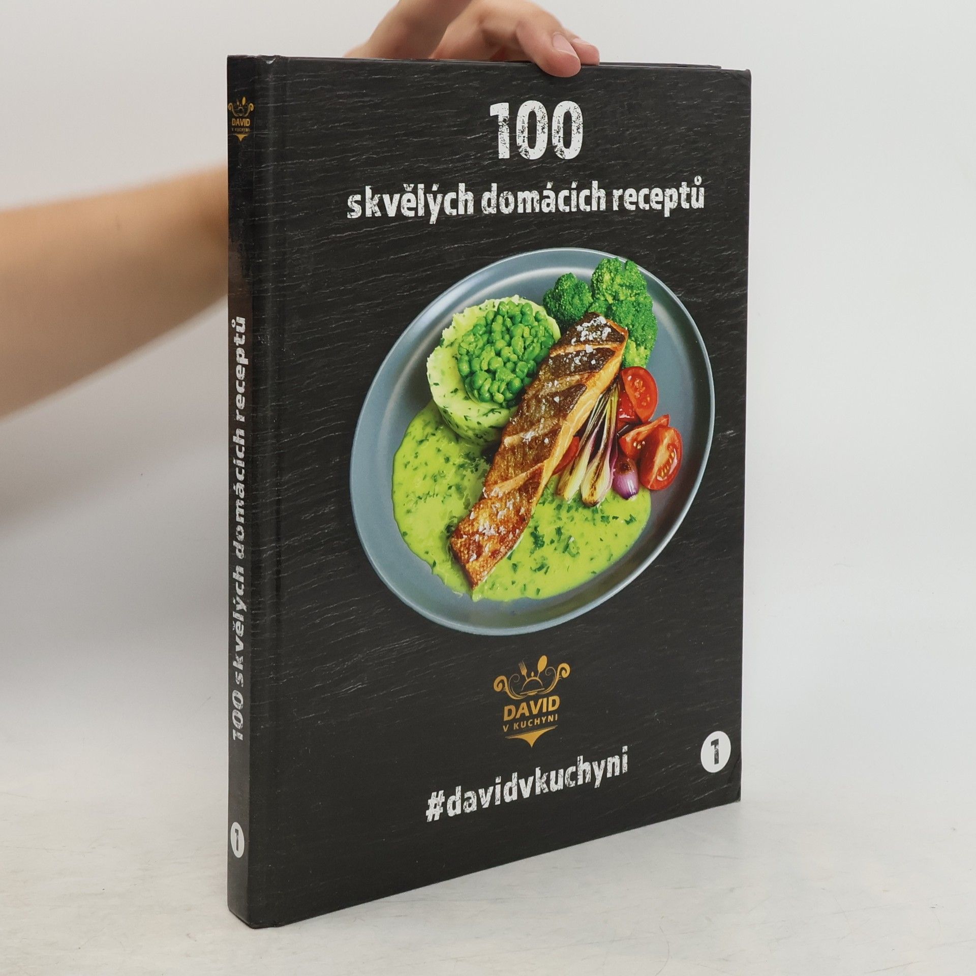 David Vonášek 100 skvělých domácích receptů